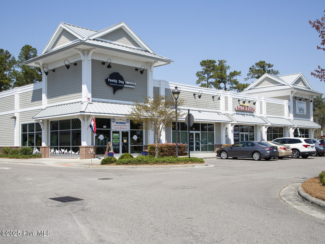 2226 Sweetspire Street Unit 2009