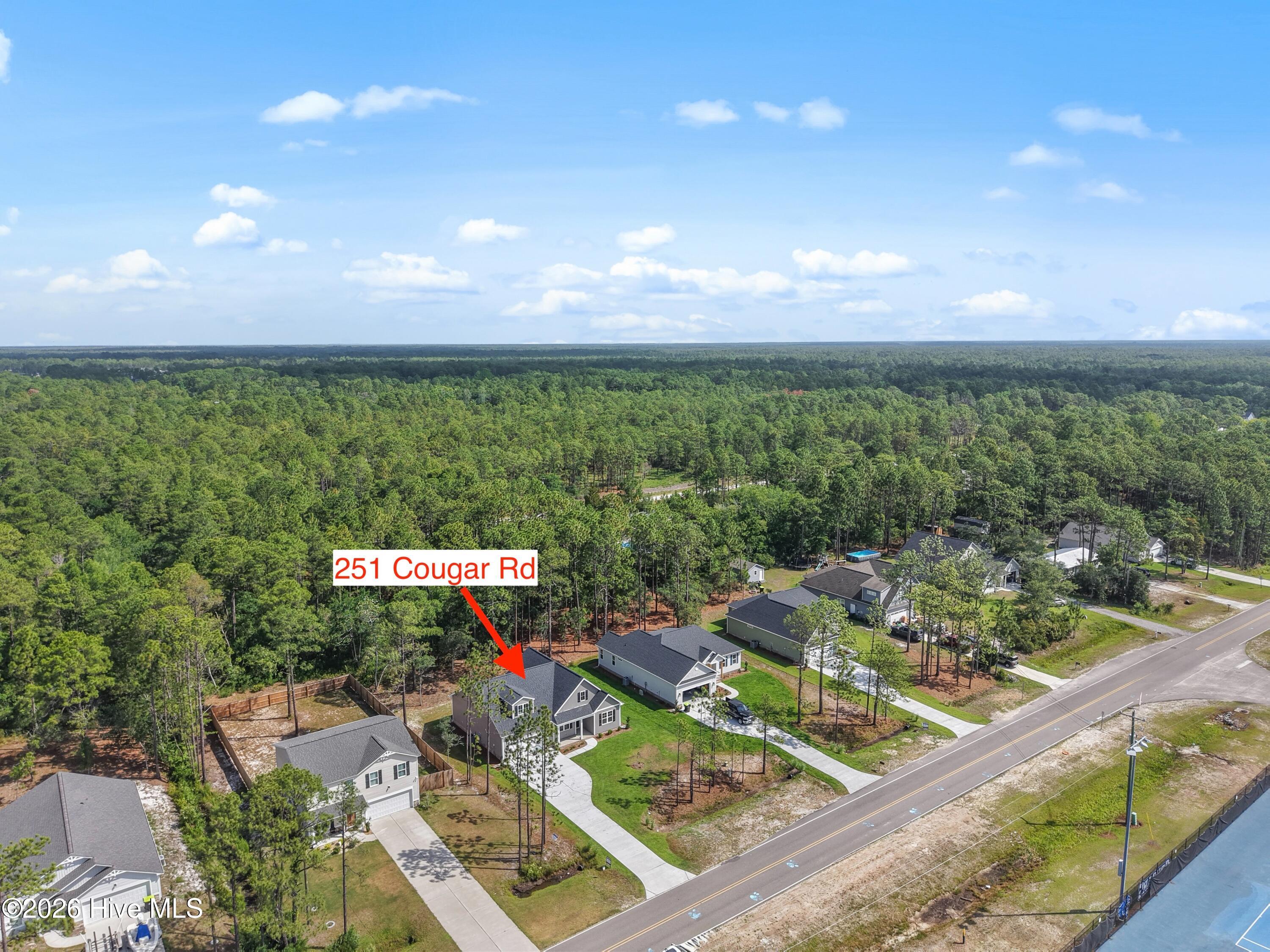 251 Cougar Road