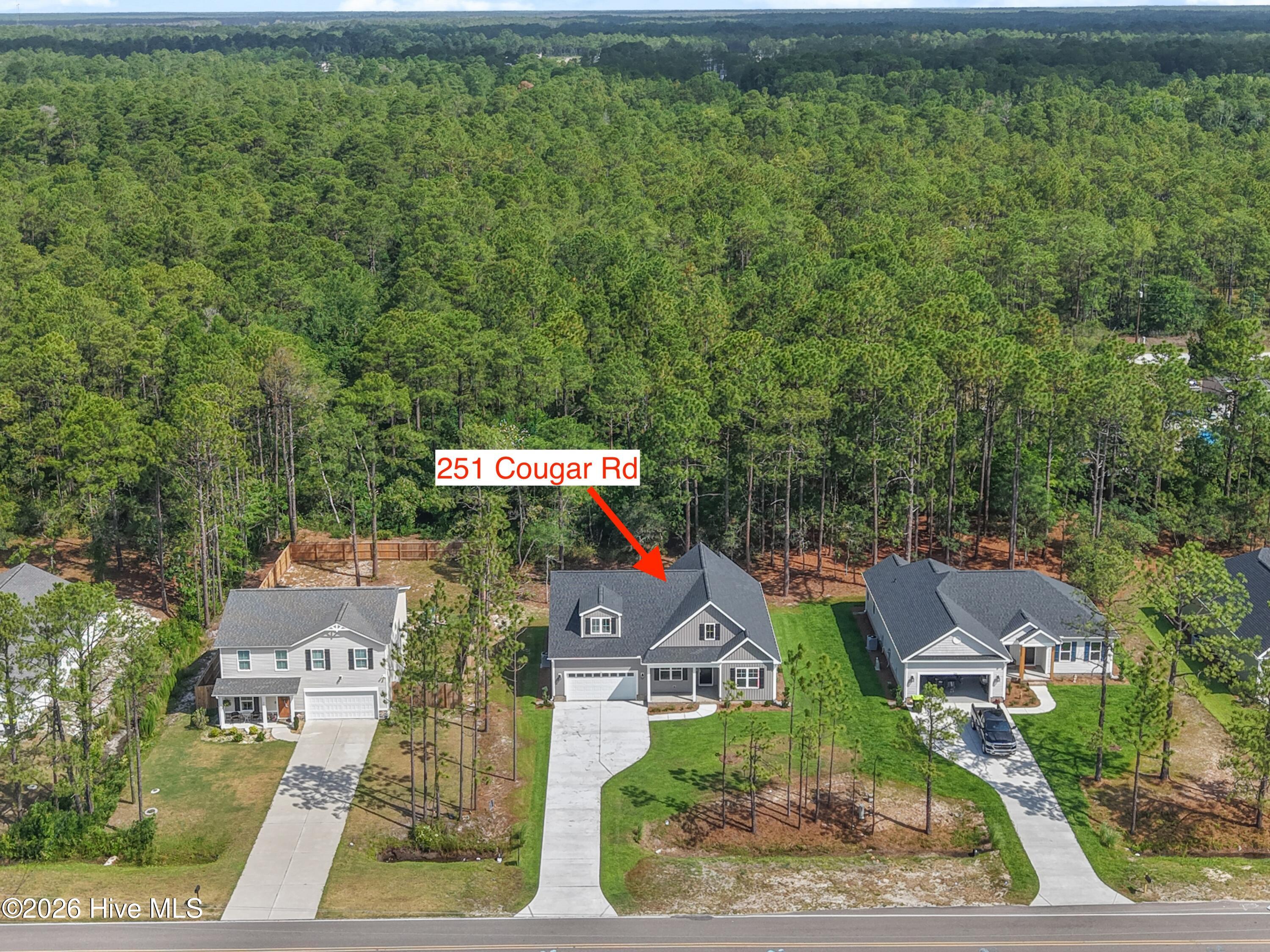 251 Cougar Road