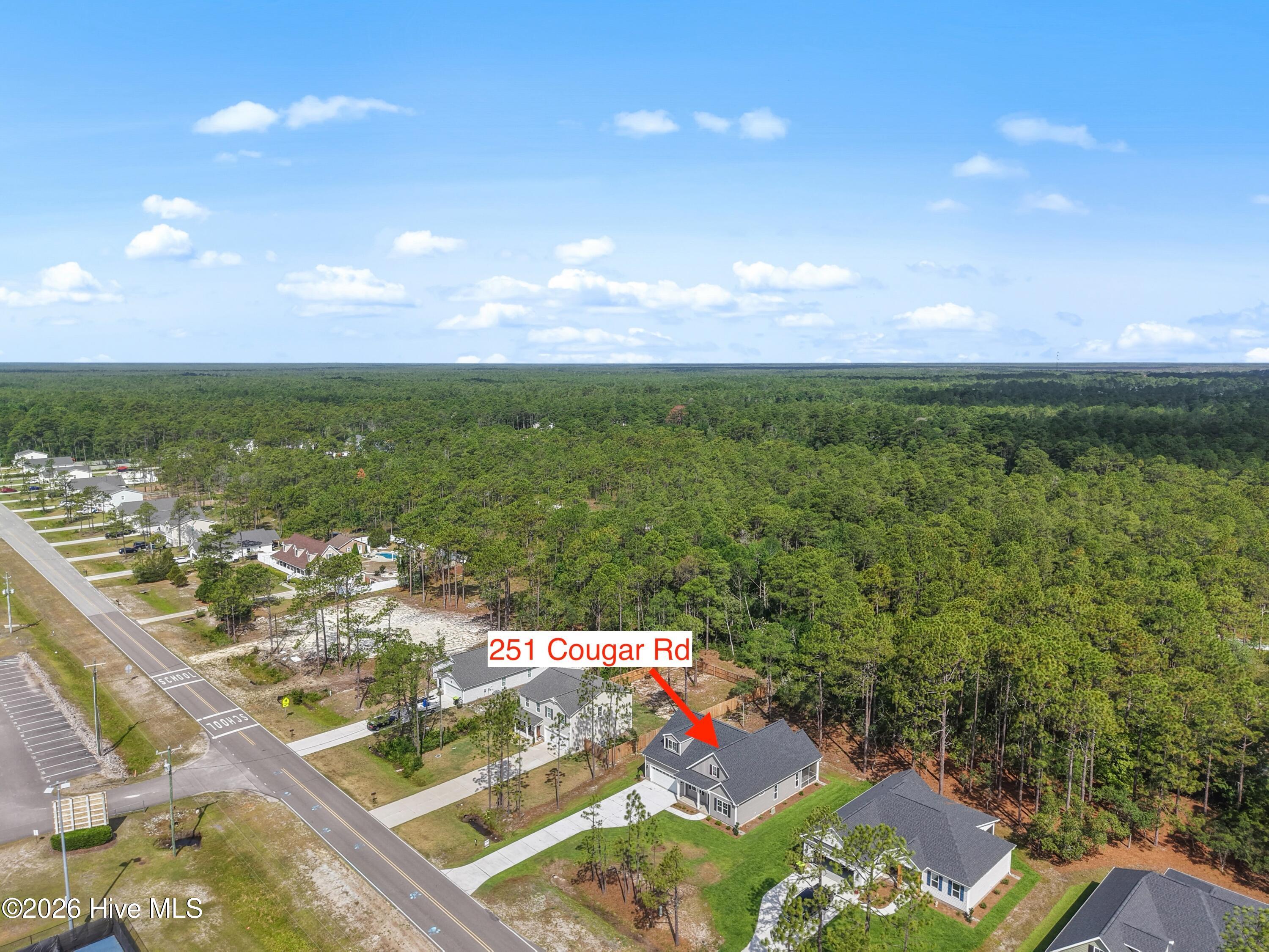 251 Cougar Road