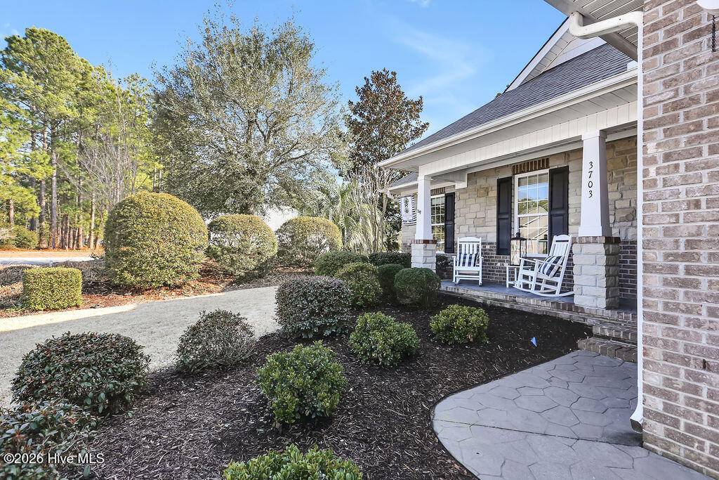 3703 Cinnamon Fern Drive