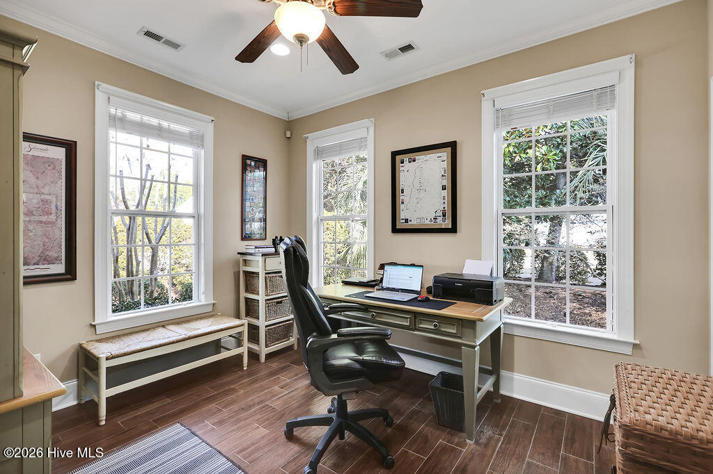 3703 Cinnamon Fern Drive