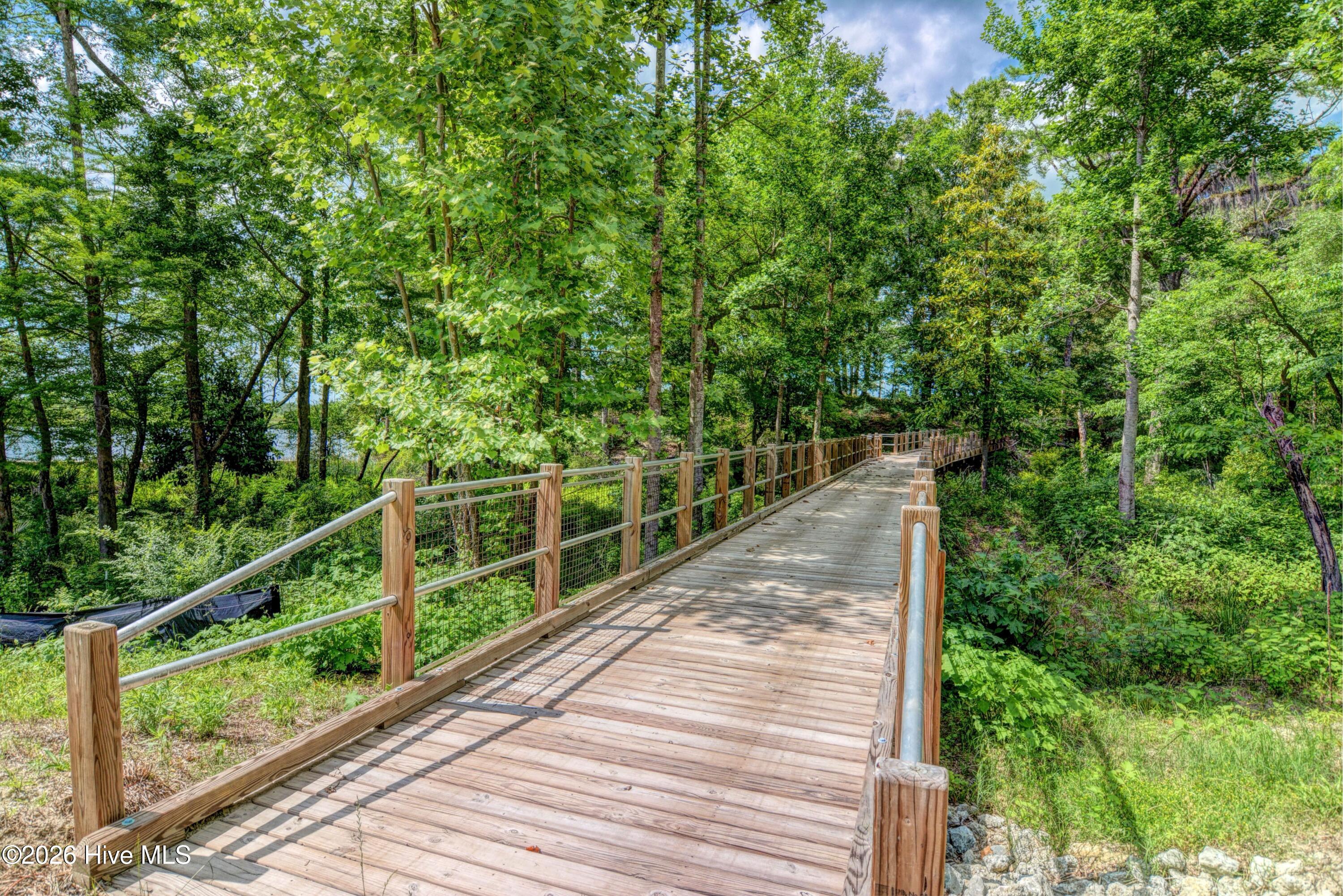 236 Sabal Pond Way