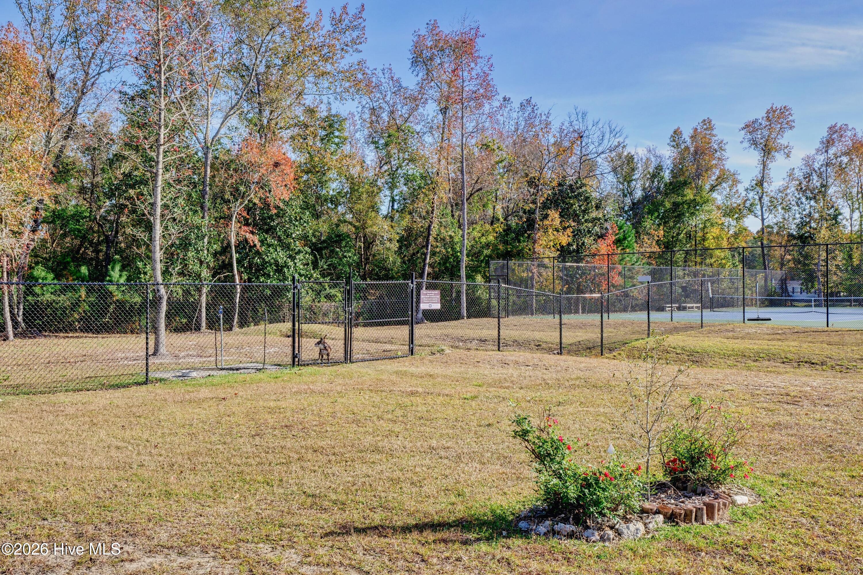 236 Sabal Pond Way