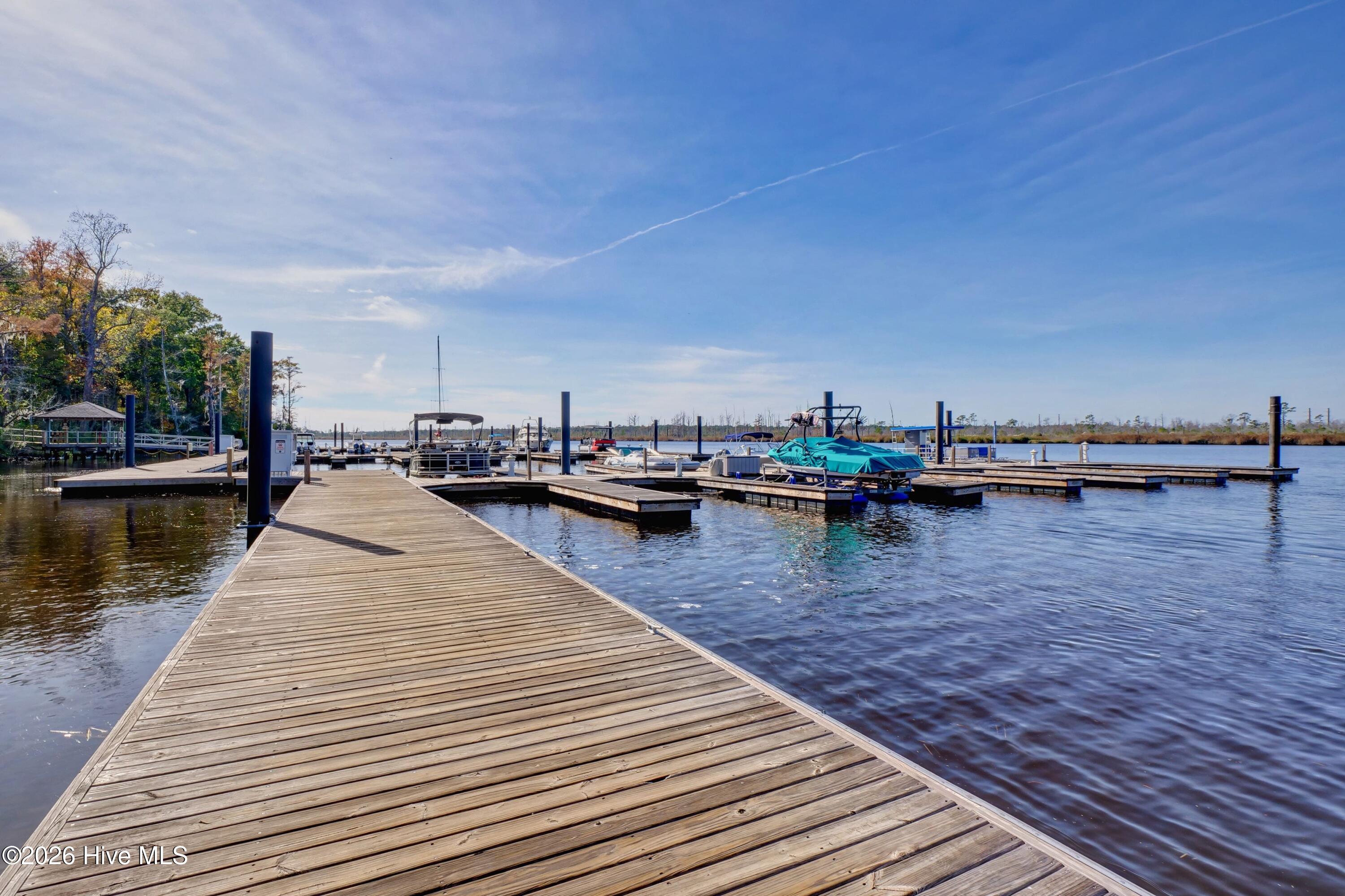 236 Sabal Pond Way