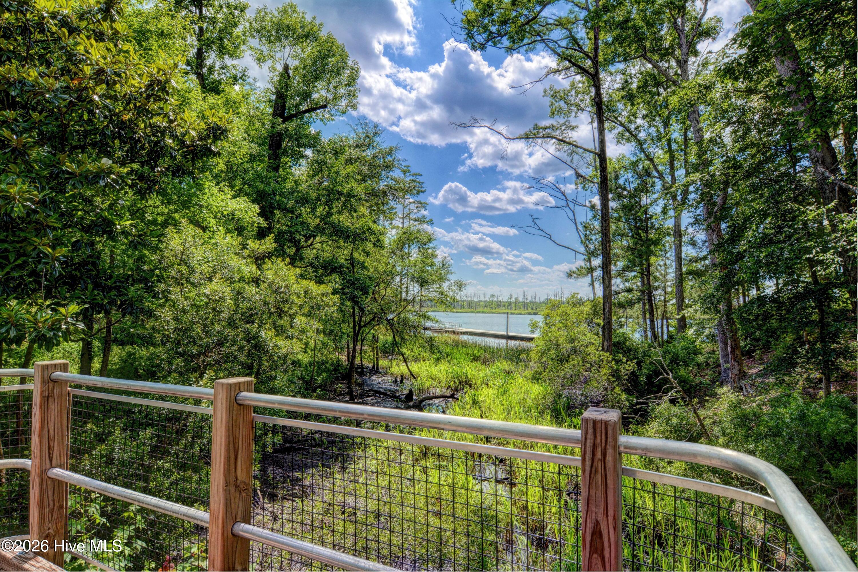 236 Sabal Pond Way