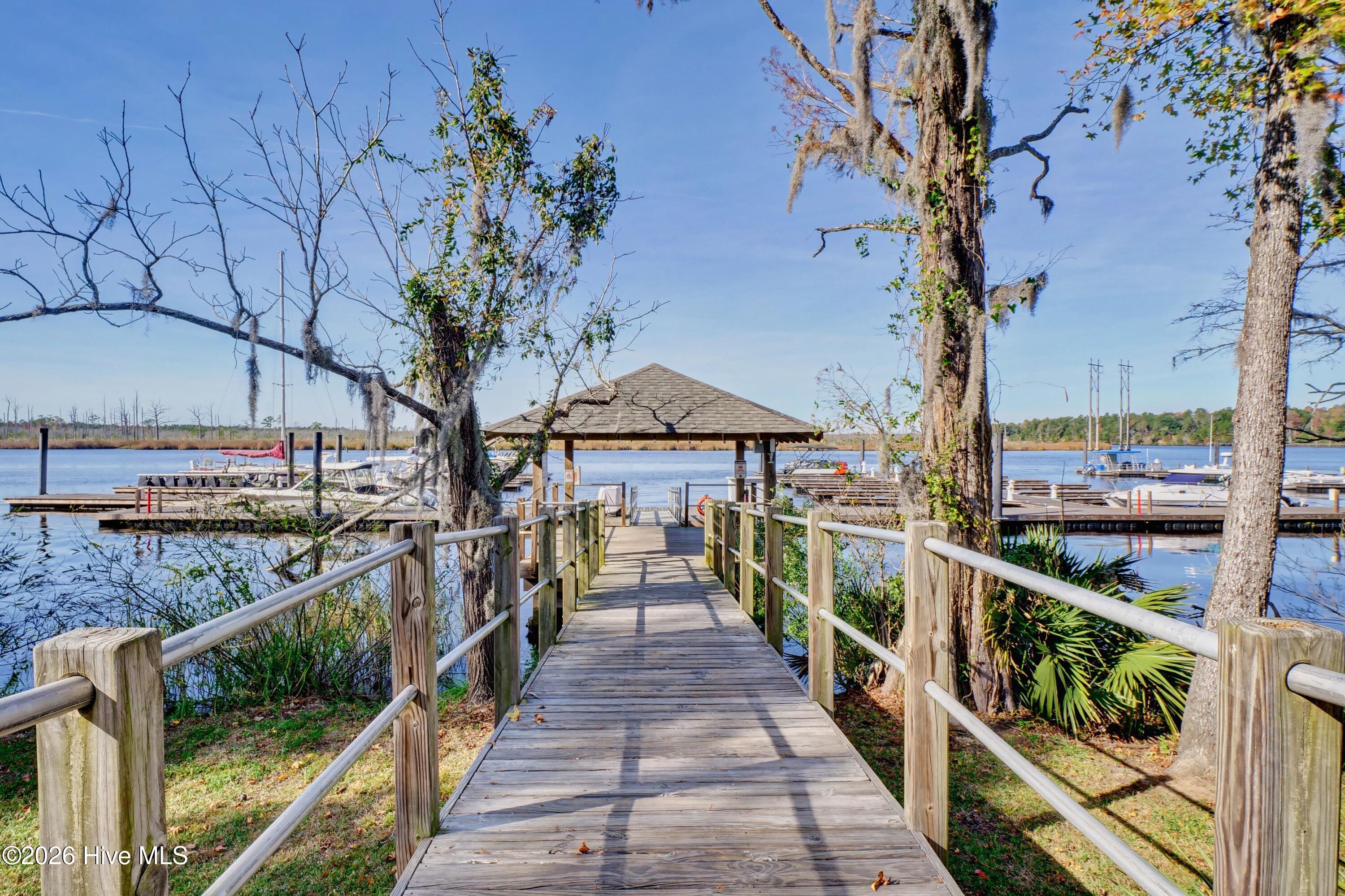 236 Sabal Pond Way
