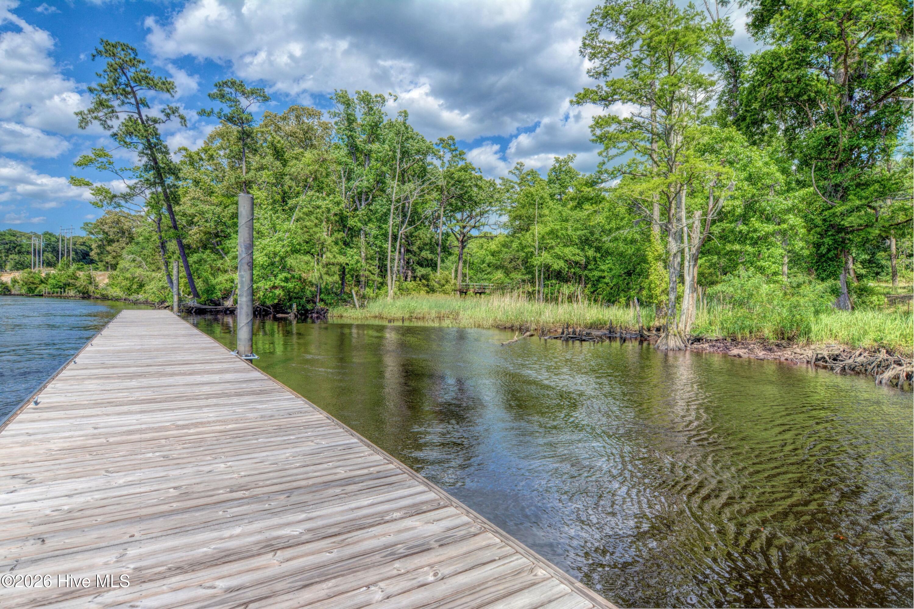 236 Sabal Pond Way