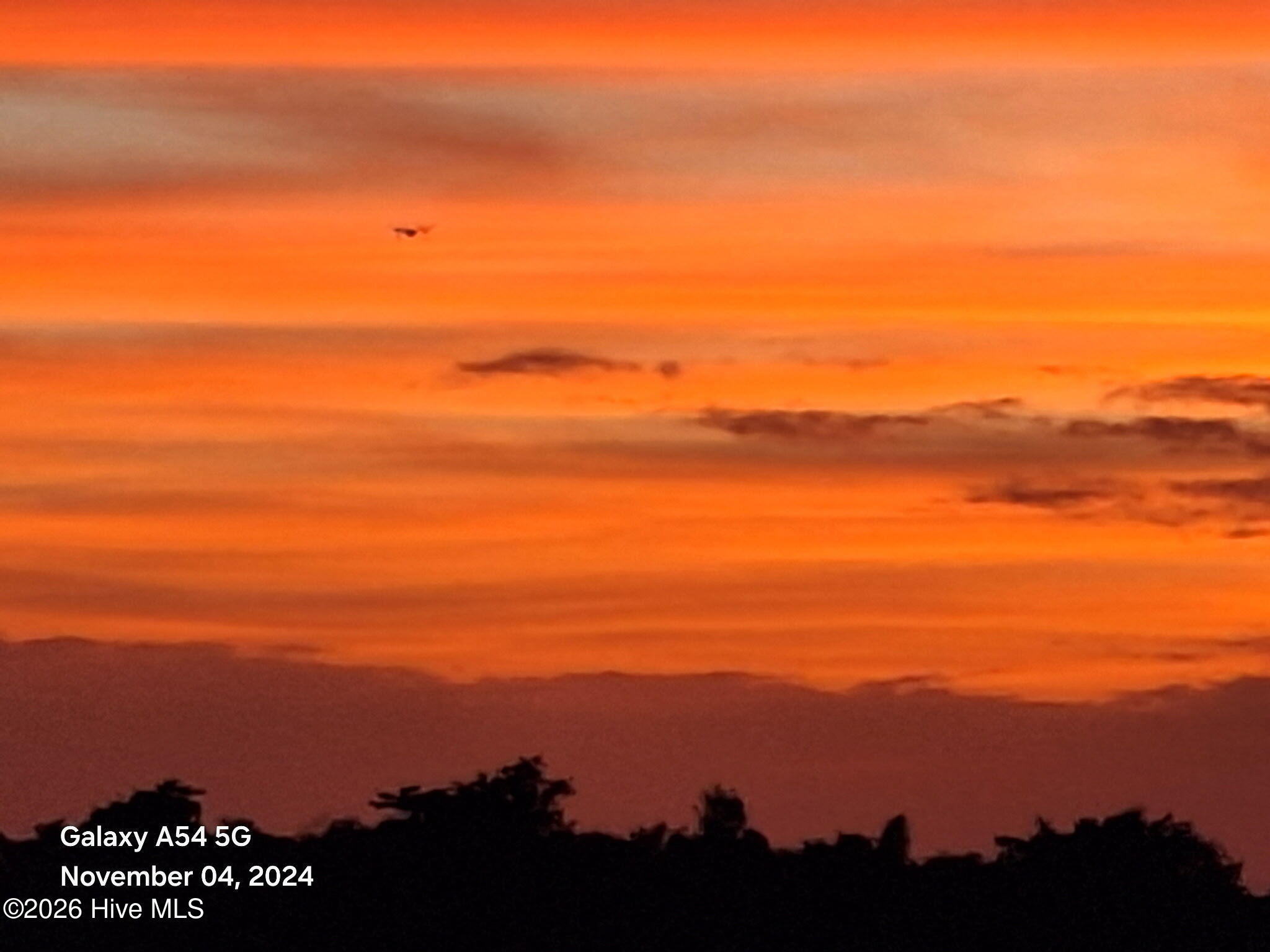 2829 Pirate Shores Drive SW