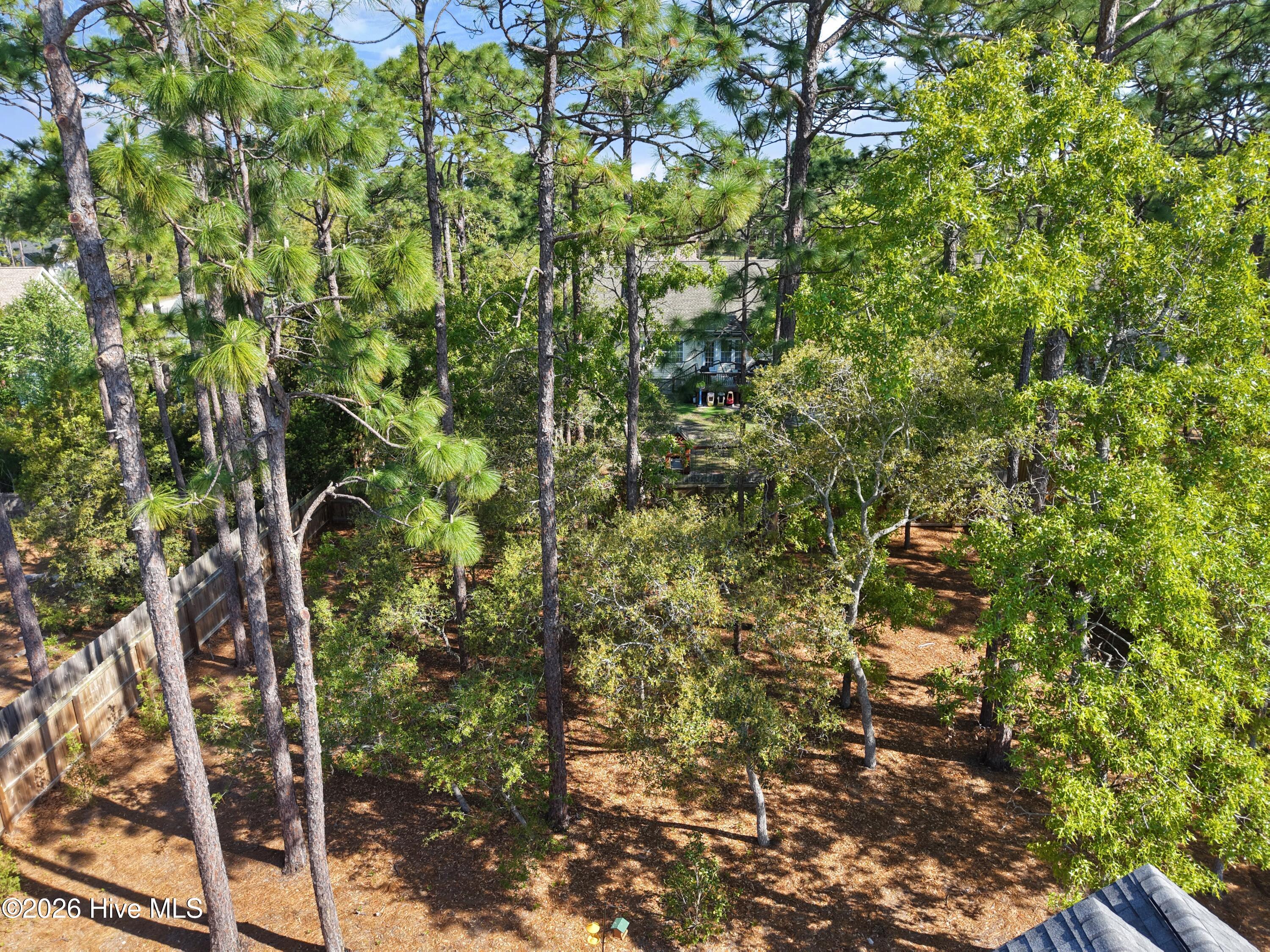 955 Trevino Road