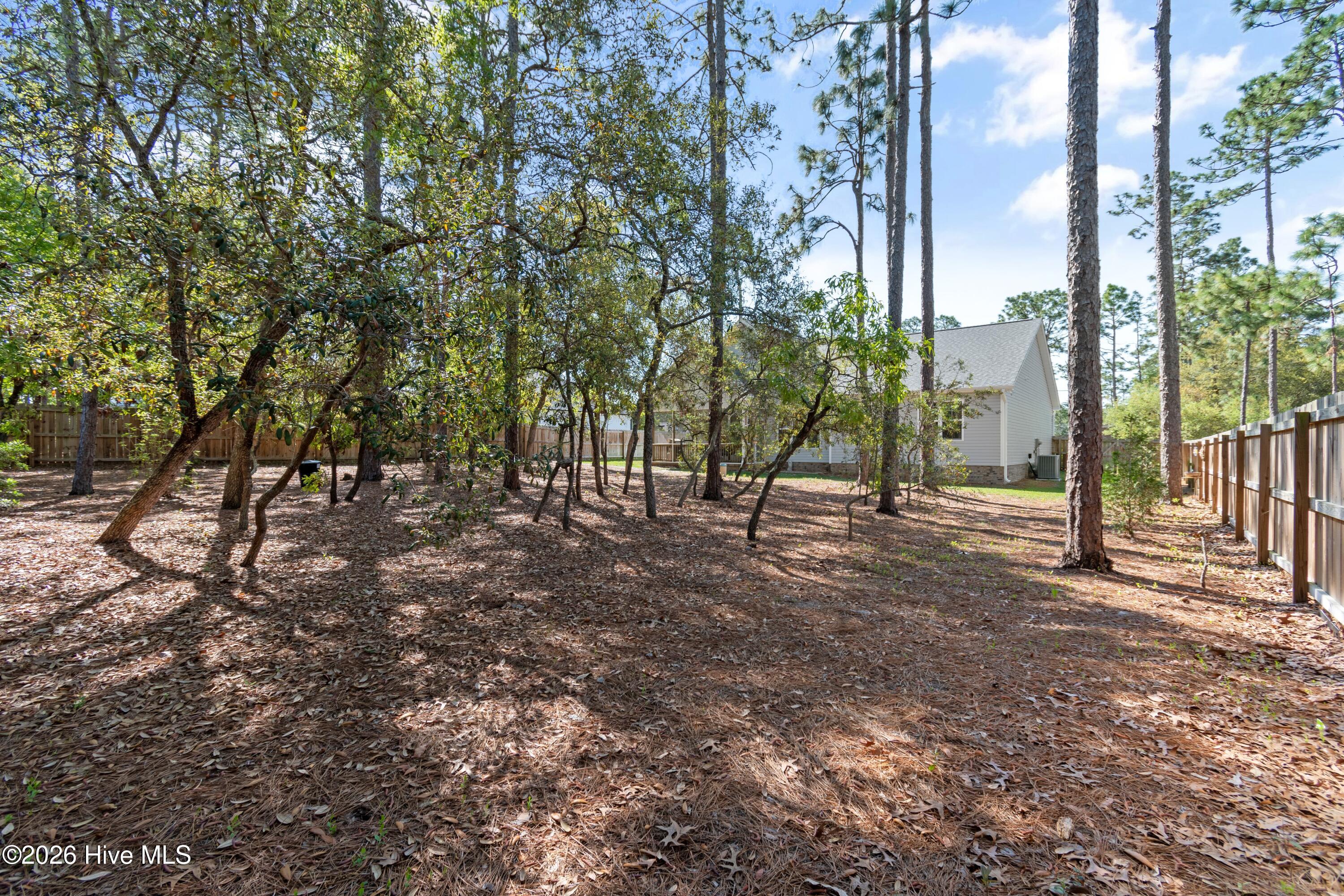 955 Trevino Road