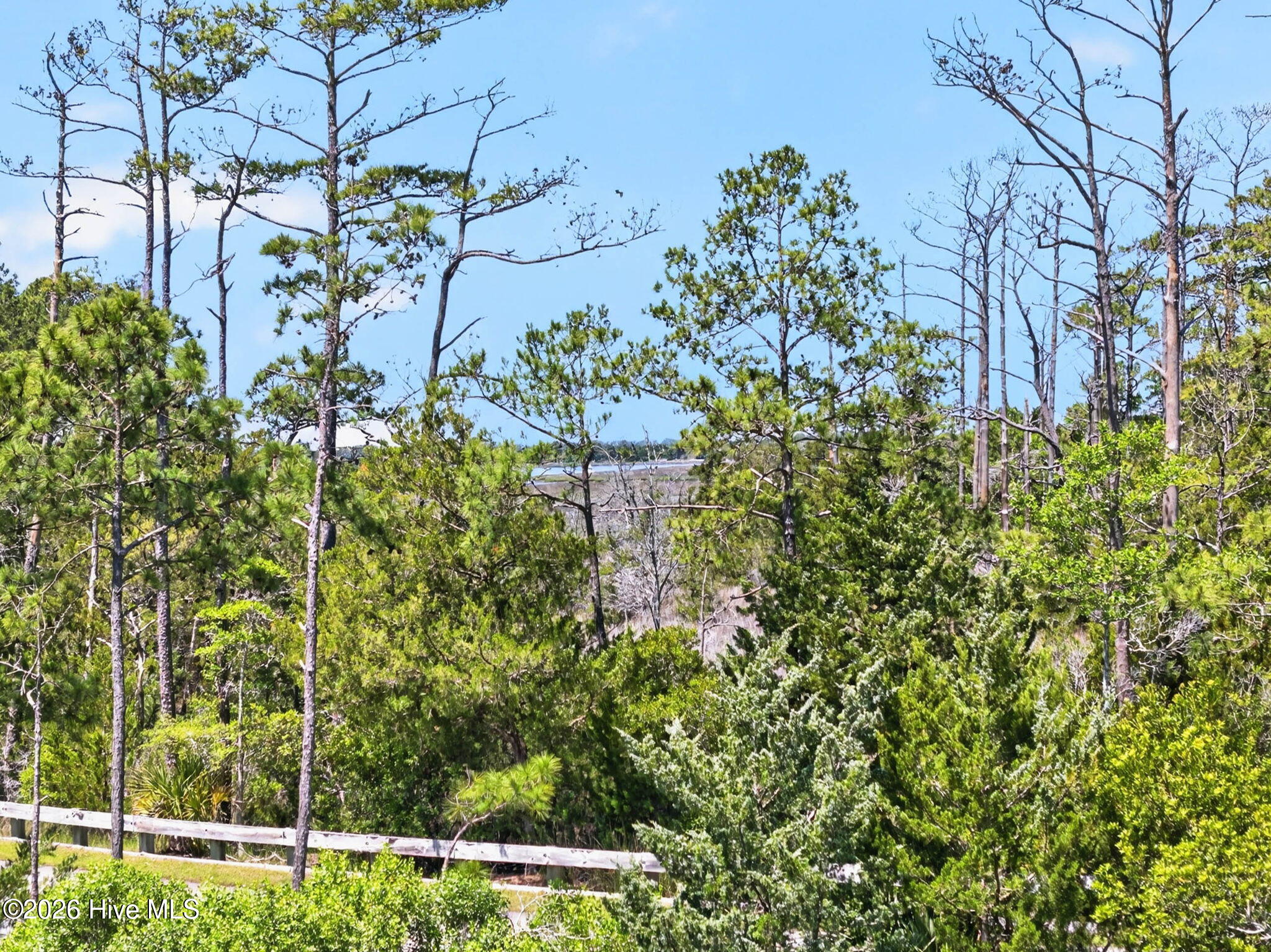 614 Marsh Grass Court