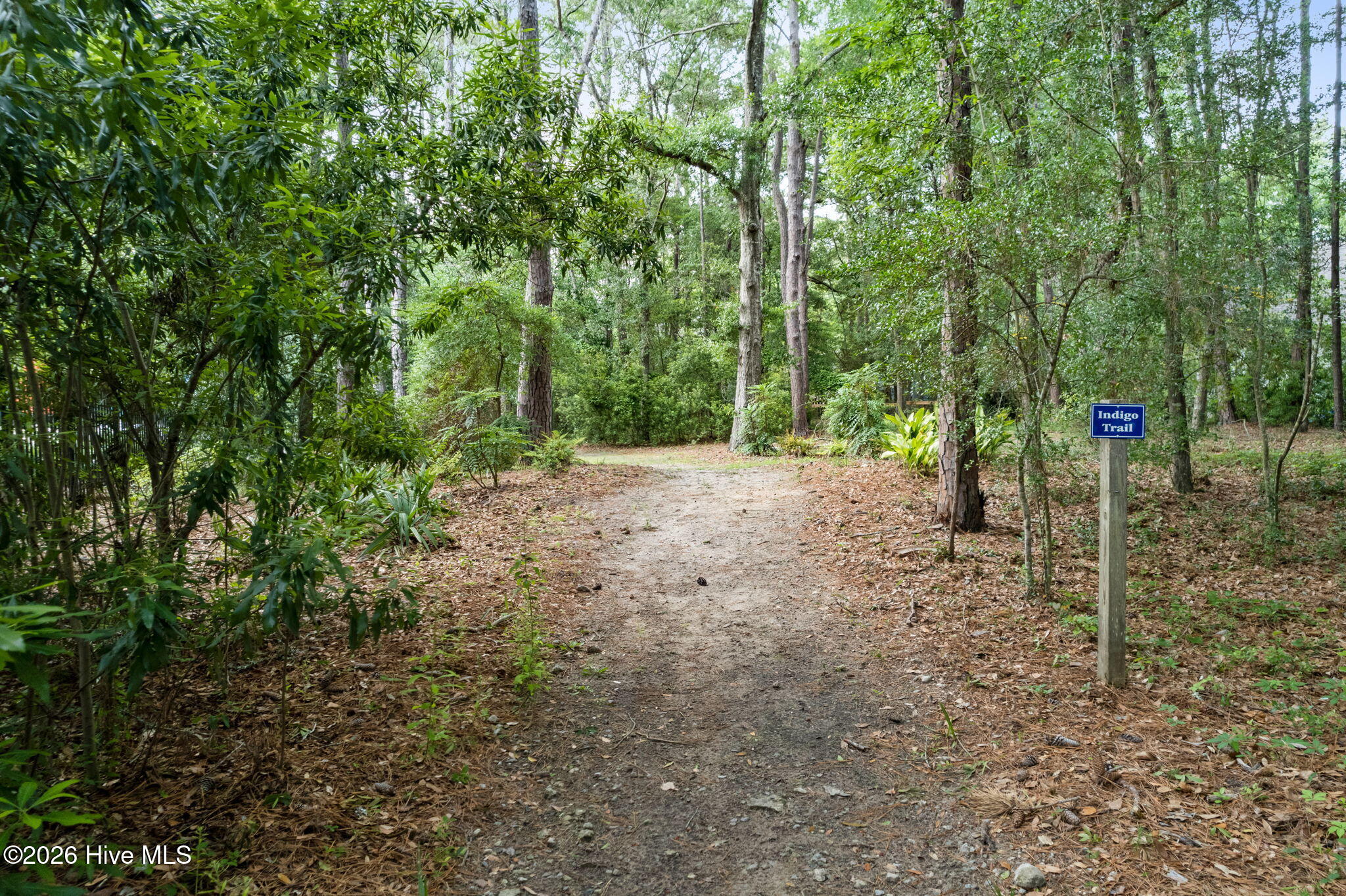 Lot 62 Cattail Court