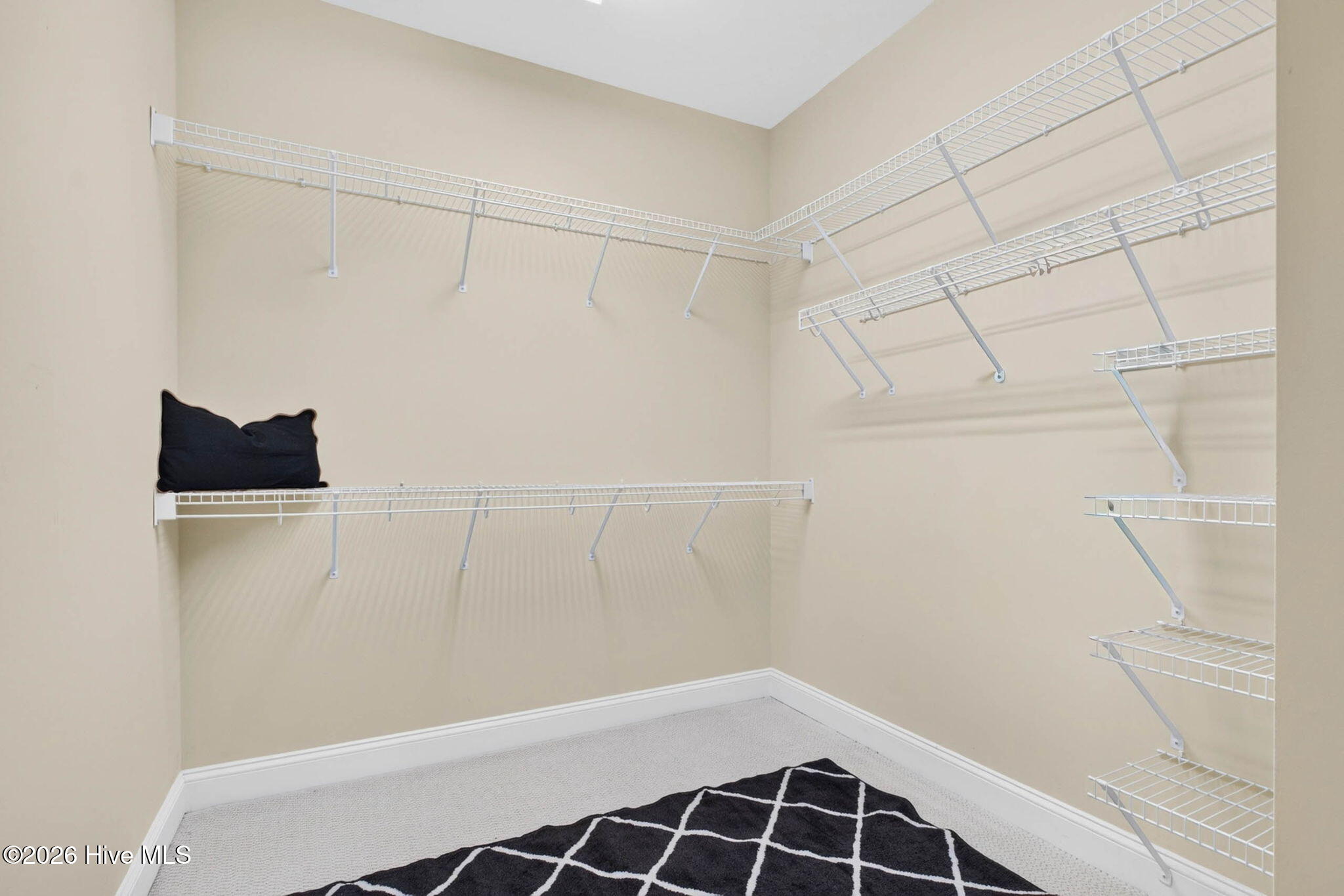 6271 Cattail Court