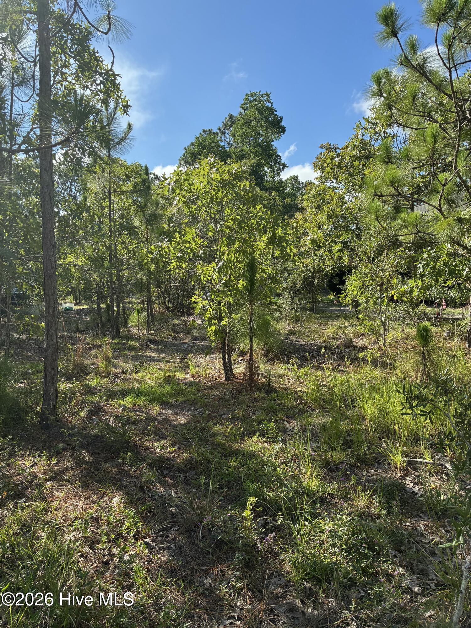 98 L-90 Fairway Drive