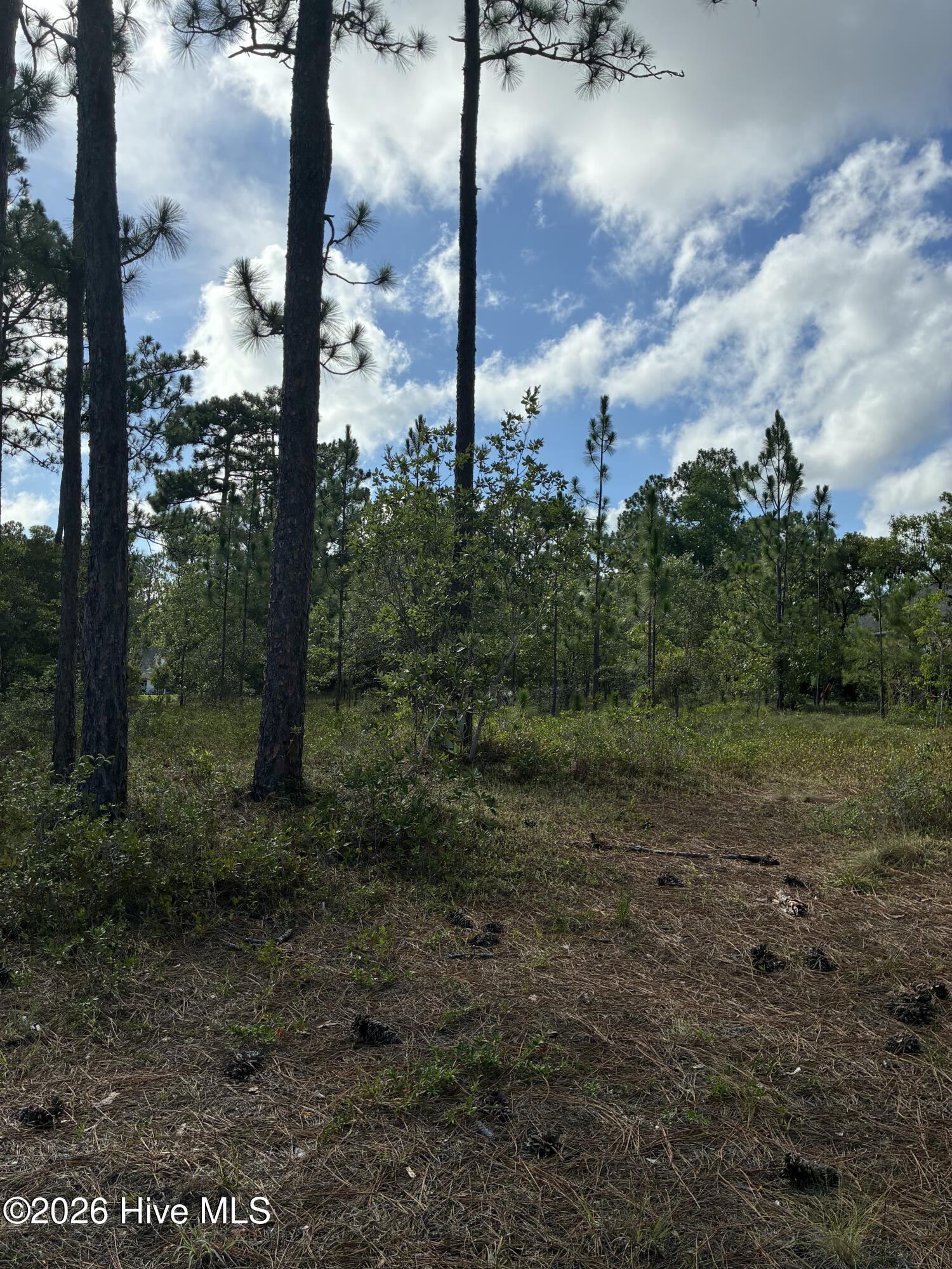 98 L-90 Fairway Drive