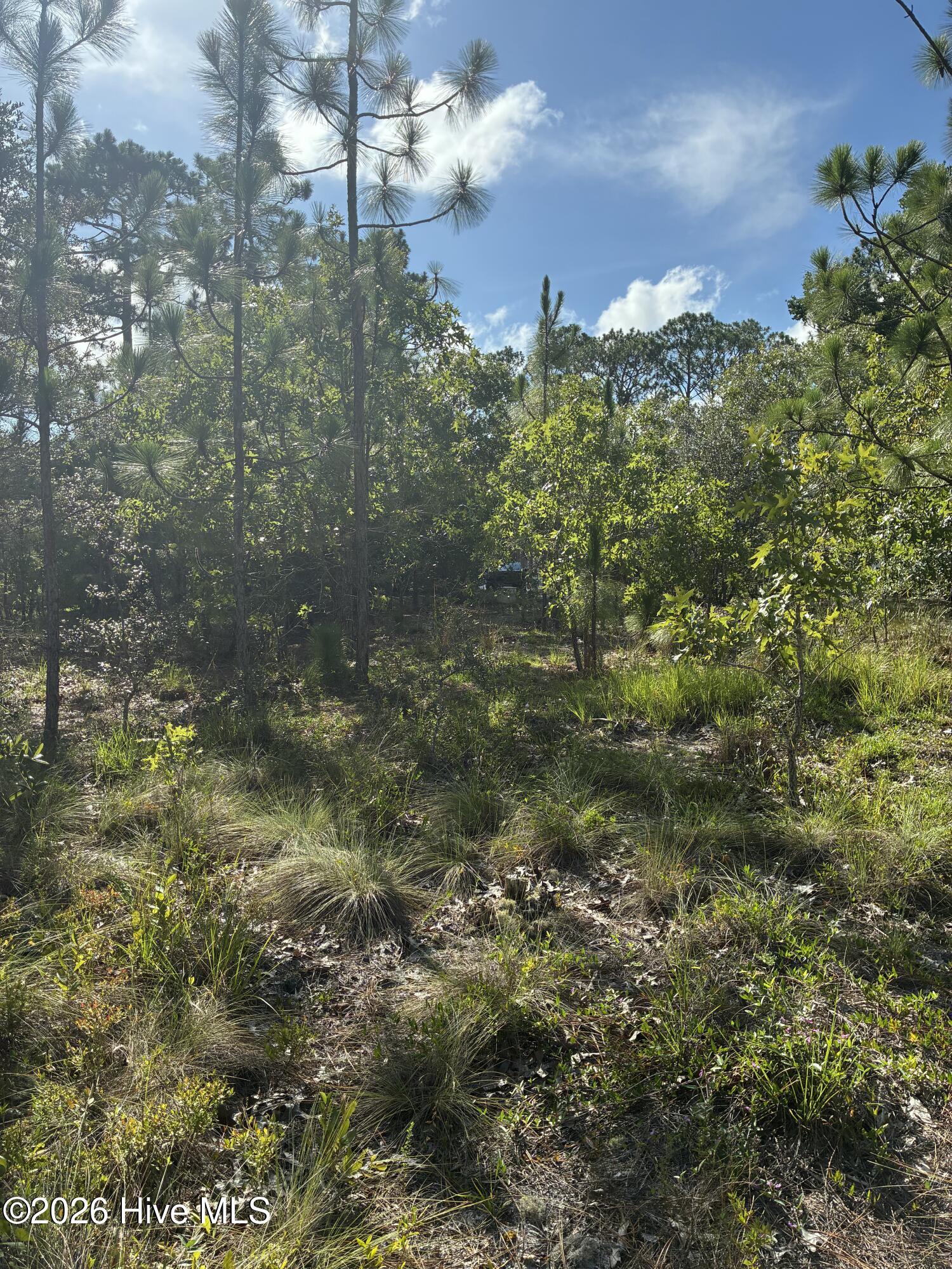 98 L-90 Fairway Drive