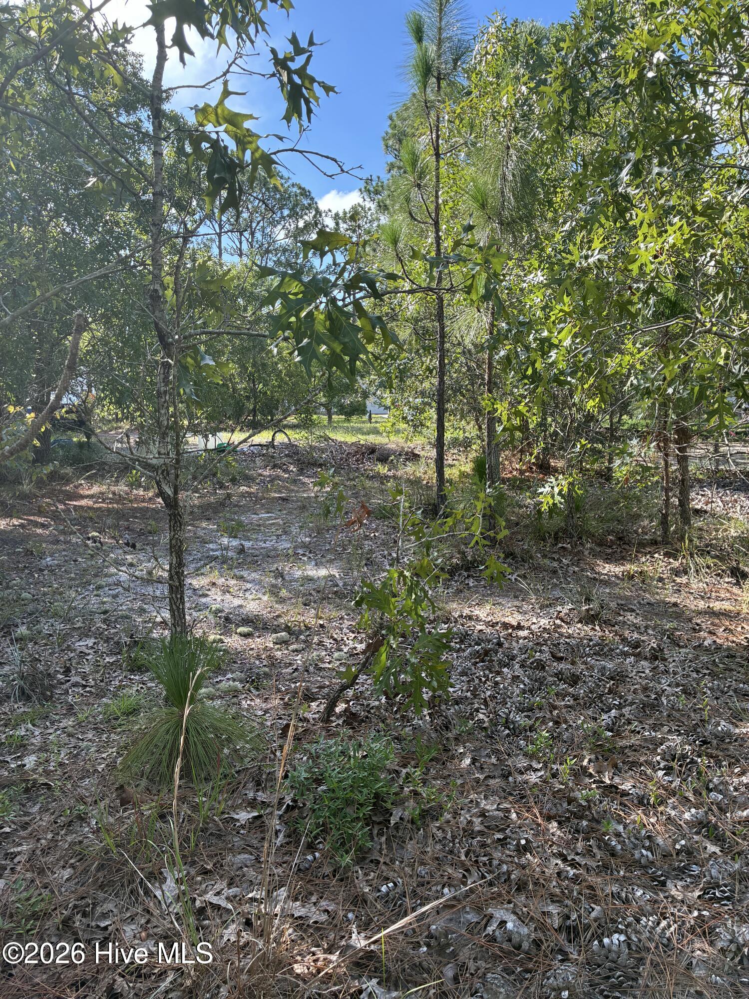 98 L-90 Fairway Drive