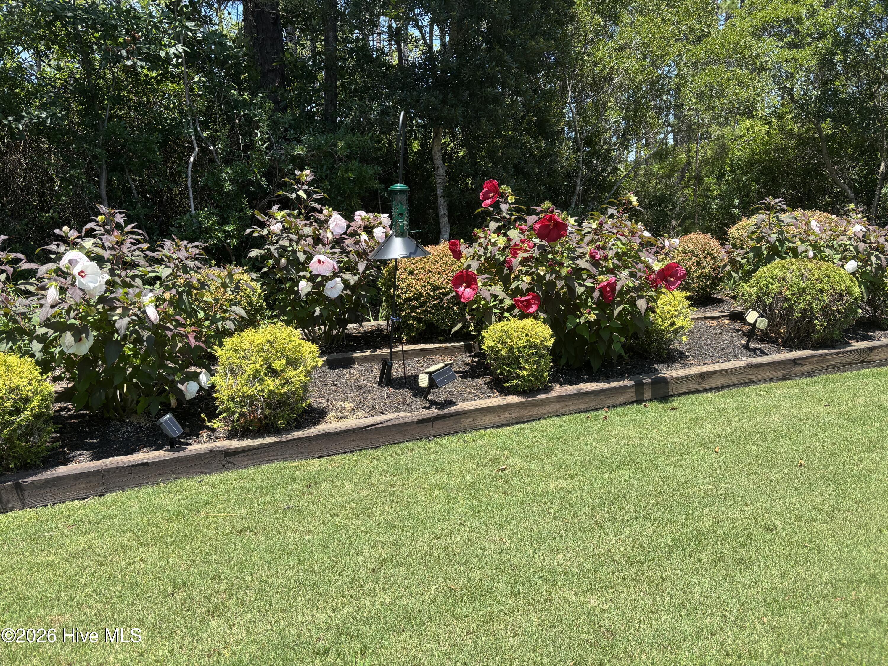 3693 Wingfoot Drive