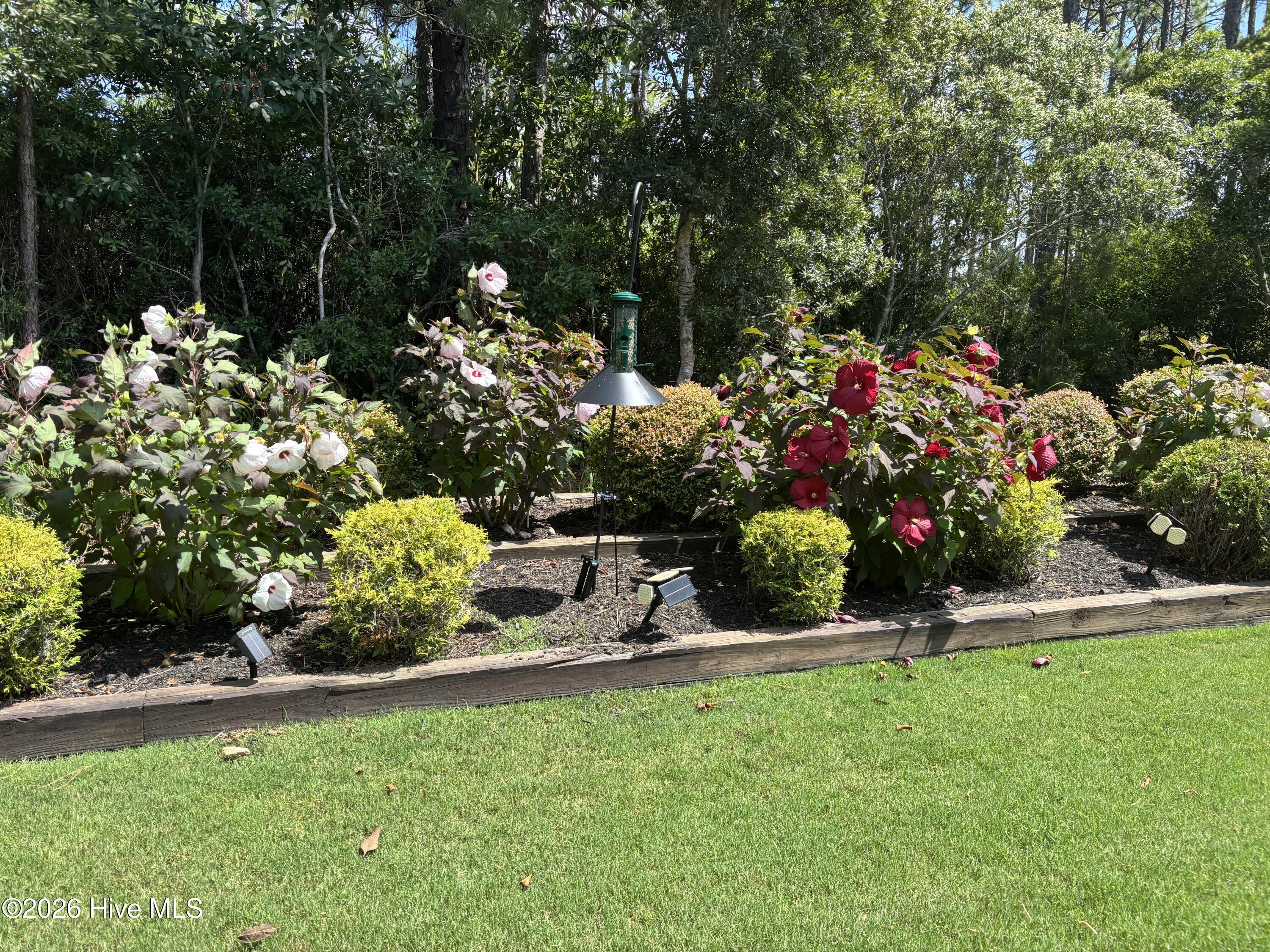 3693 Wingfoot Drive