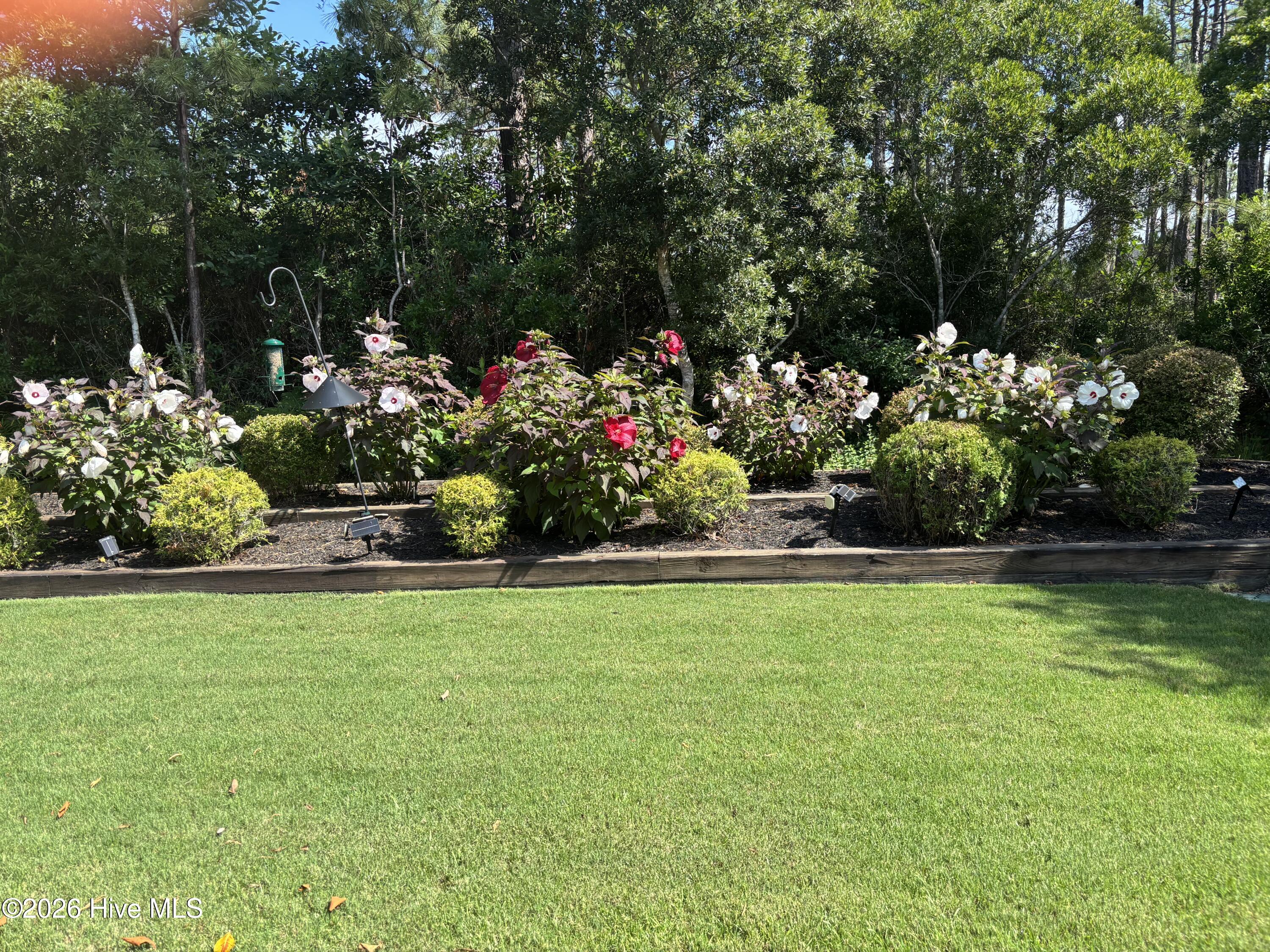 3693 Wingfoot Drive