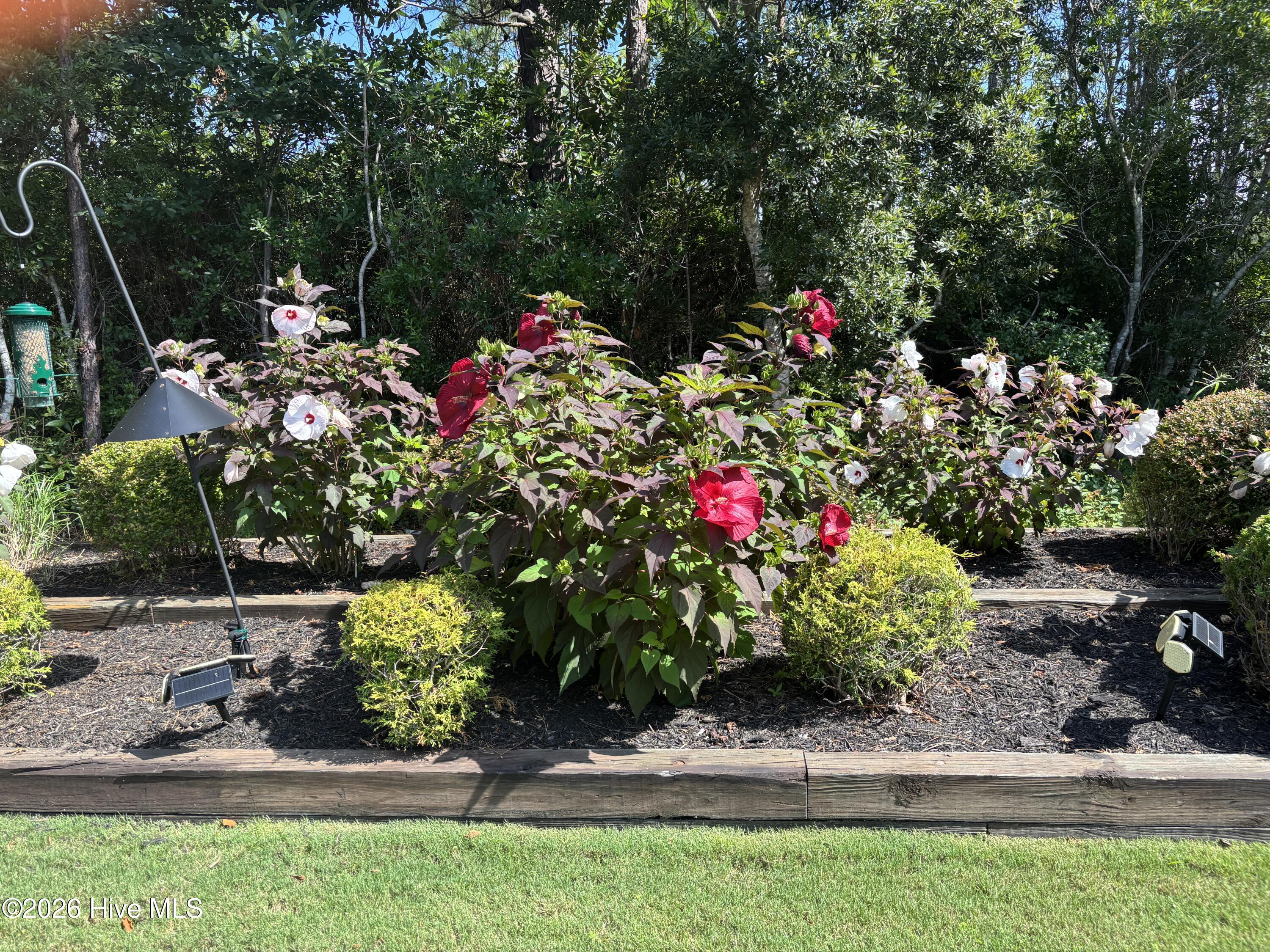 3693 Wingfoot Drive