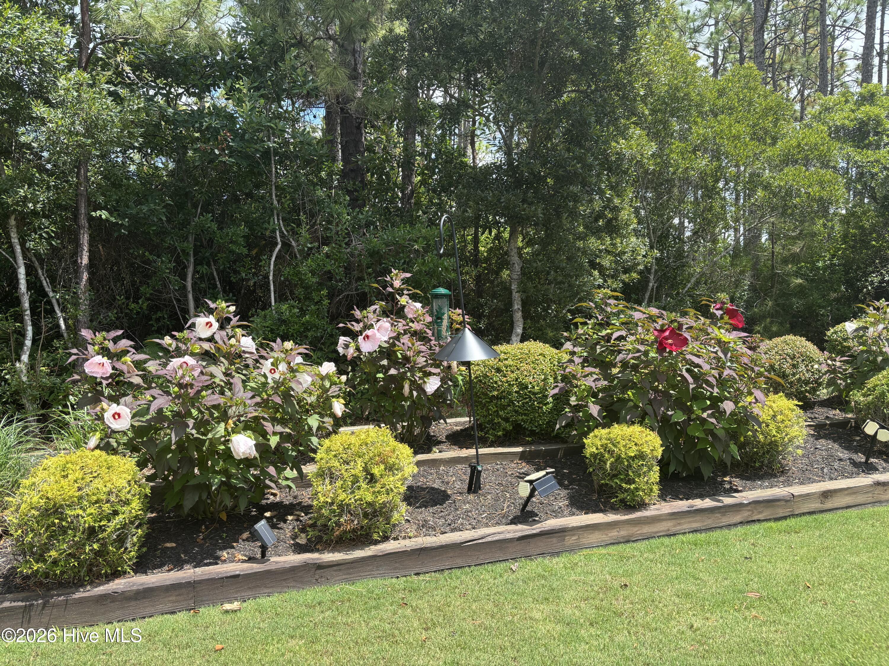 3693 Wingfoot Drive