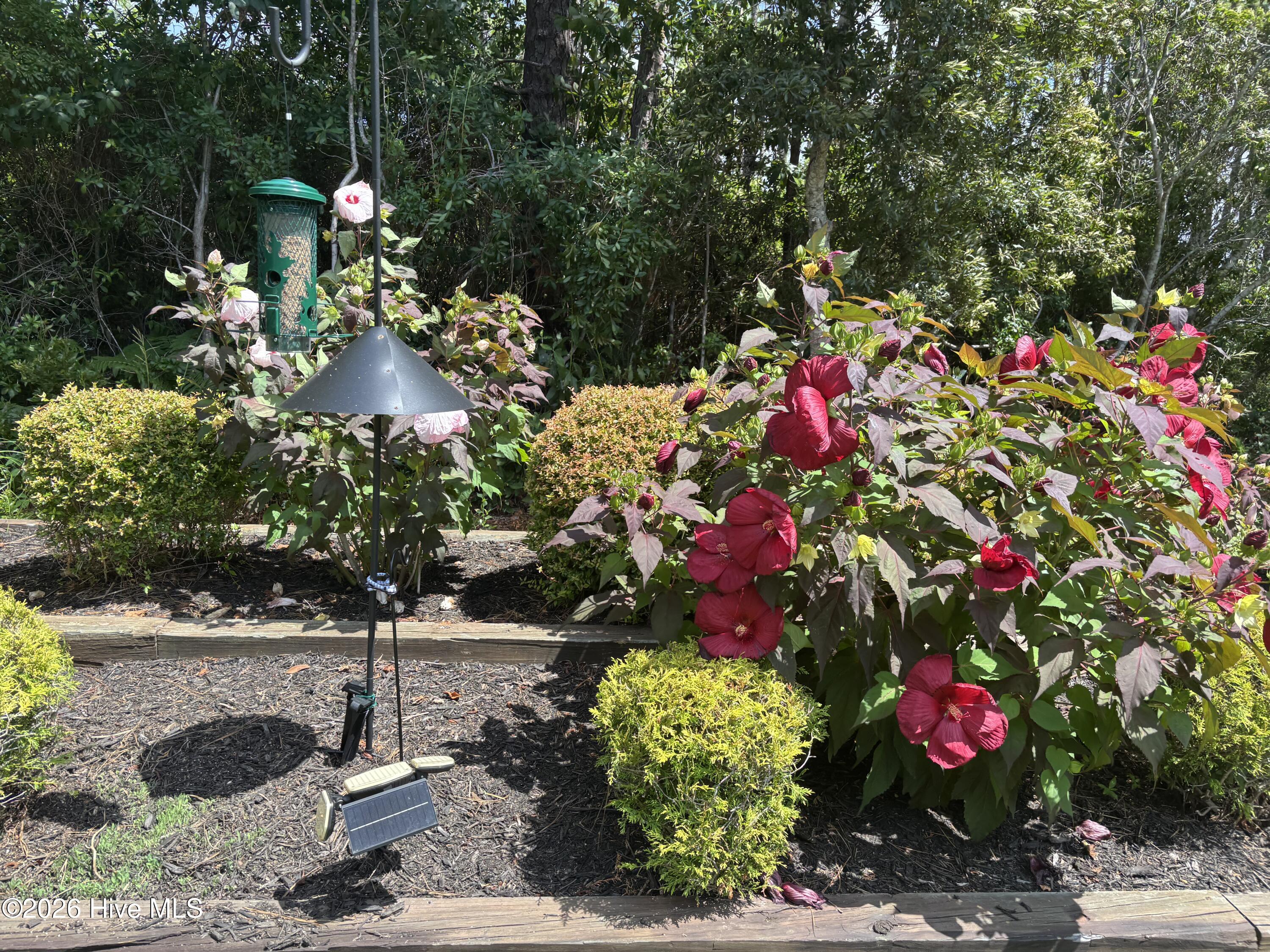 3693 Wingfoot Drive