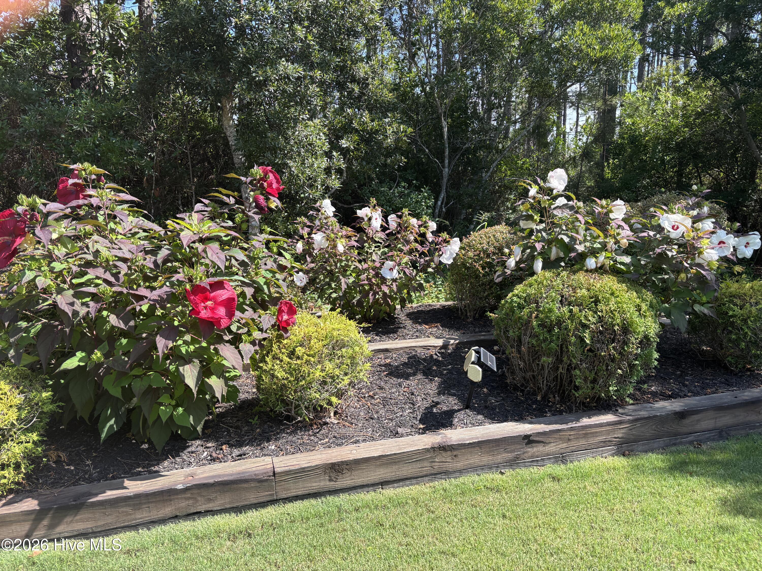 3693 Wingfoot Drive