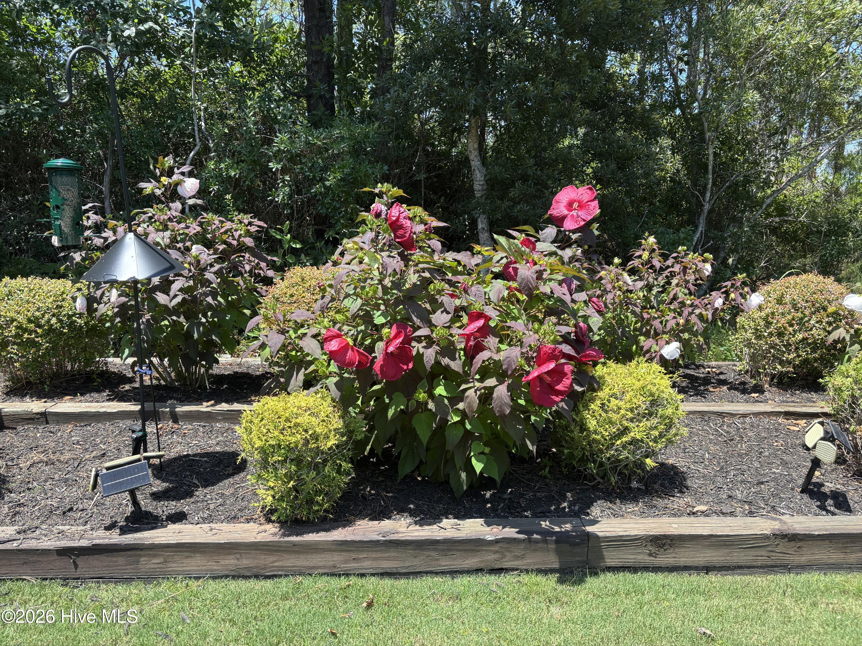 3693 Wingfoot Drive