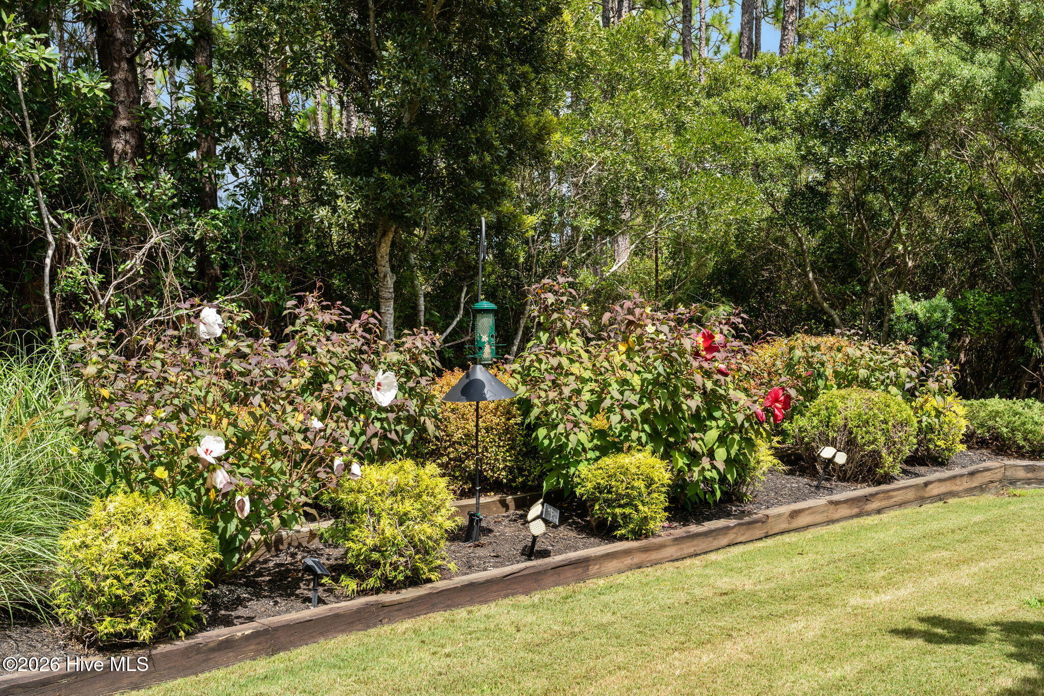 3693 Wingfoot Drive