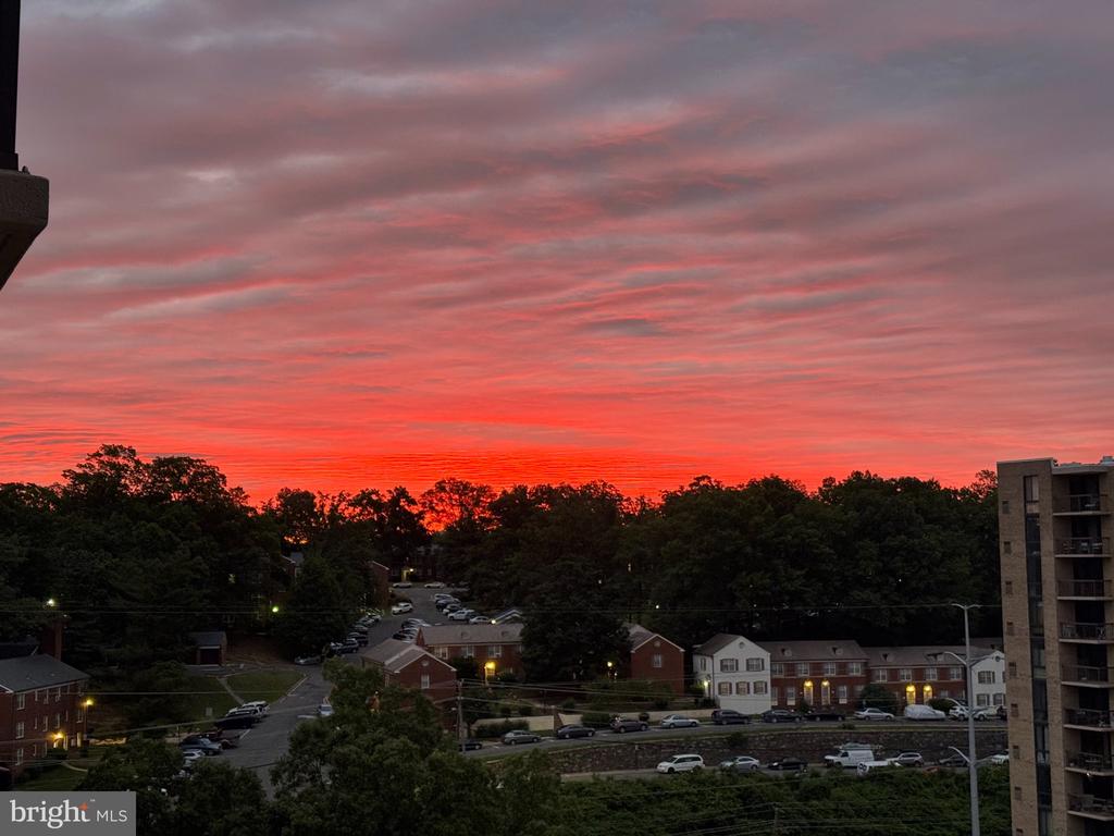 Sunset over treetops and neighborhood buildings, viewed from a residential building.