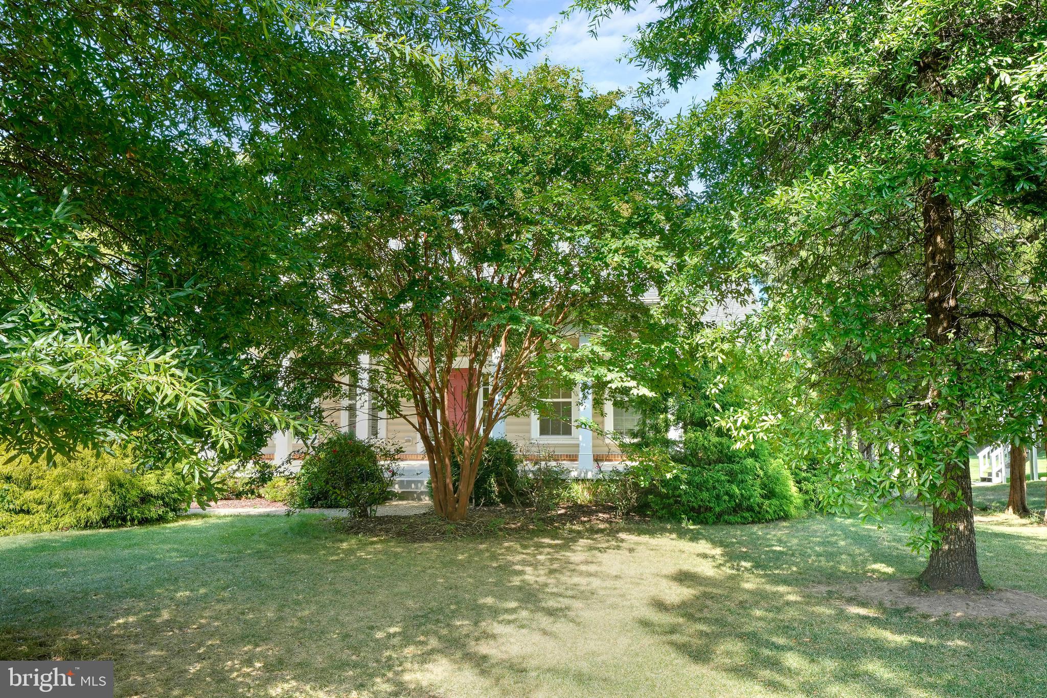 1146 STERLING ROAD