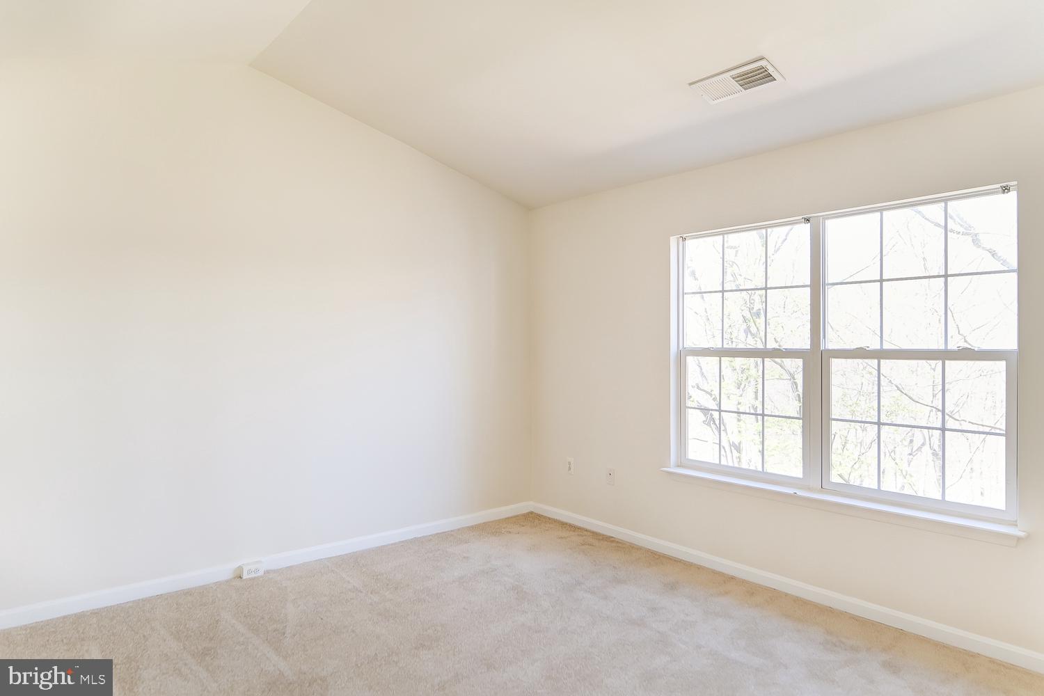 20717 WATERFALL BRANCH TER