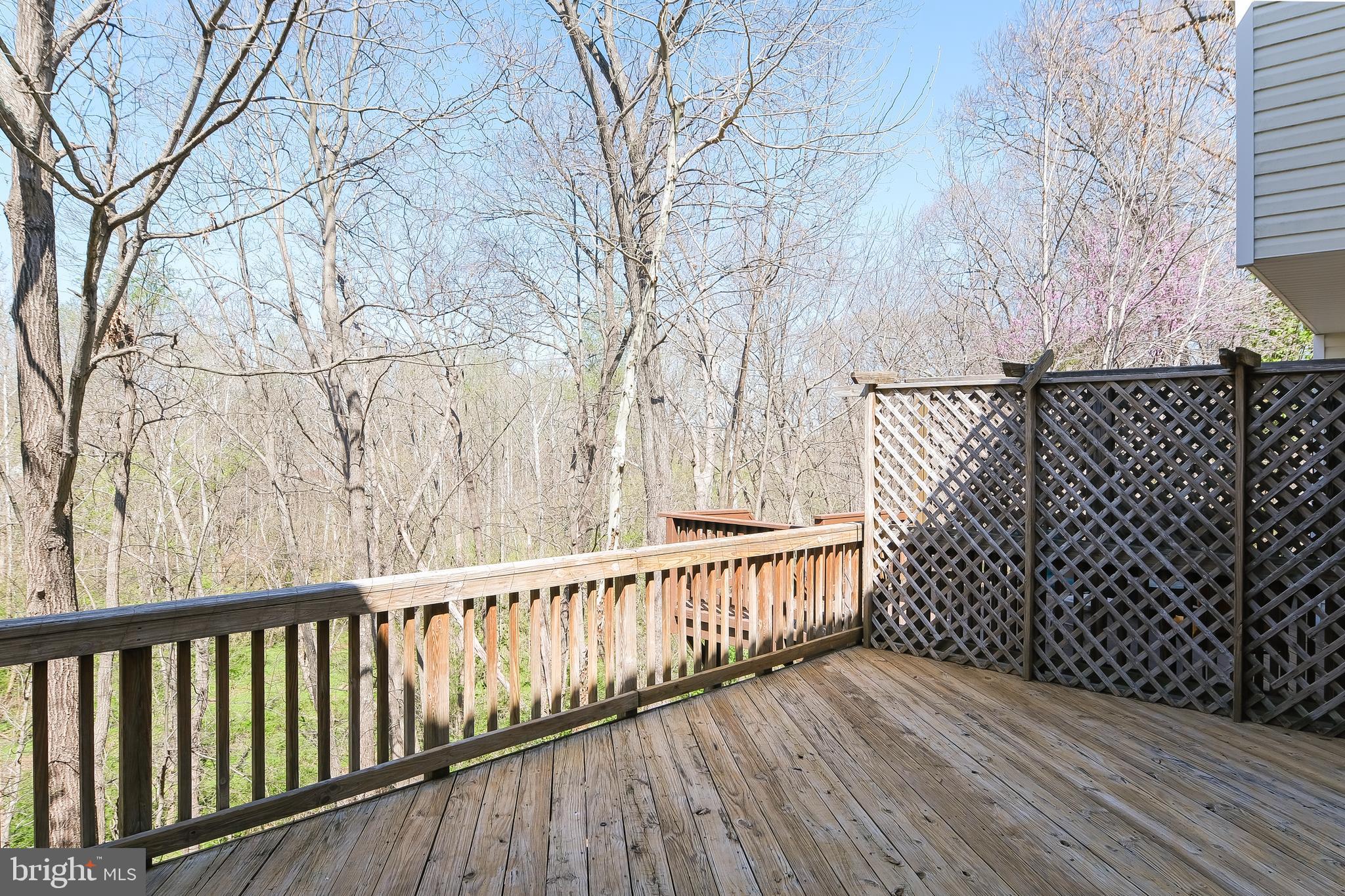 20717 WATERFALL BRANCH TER