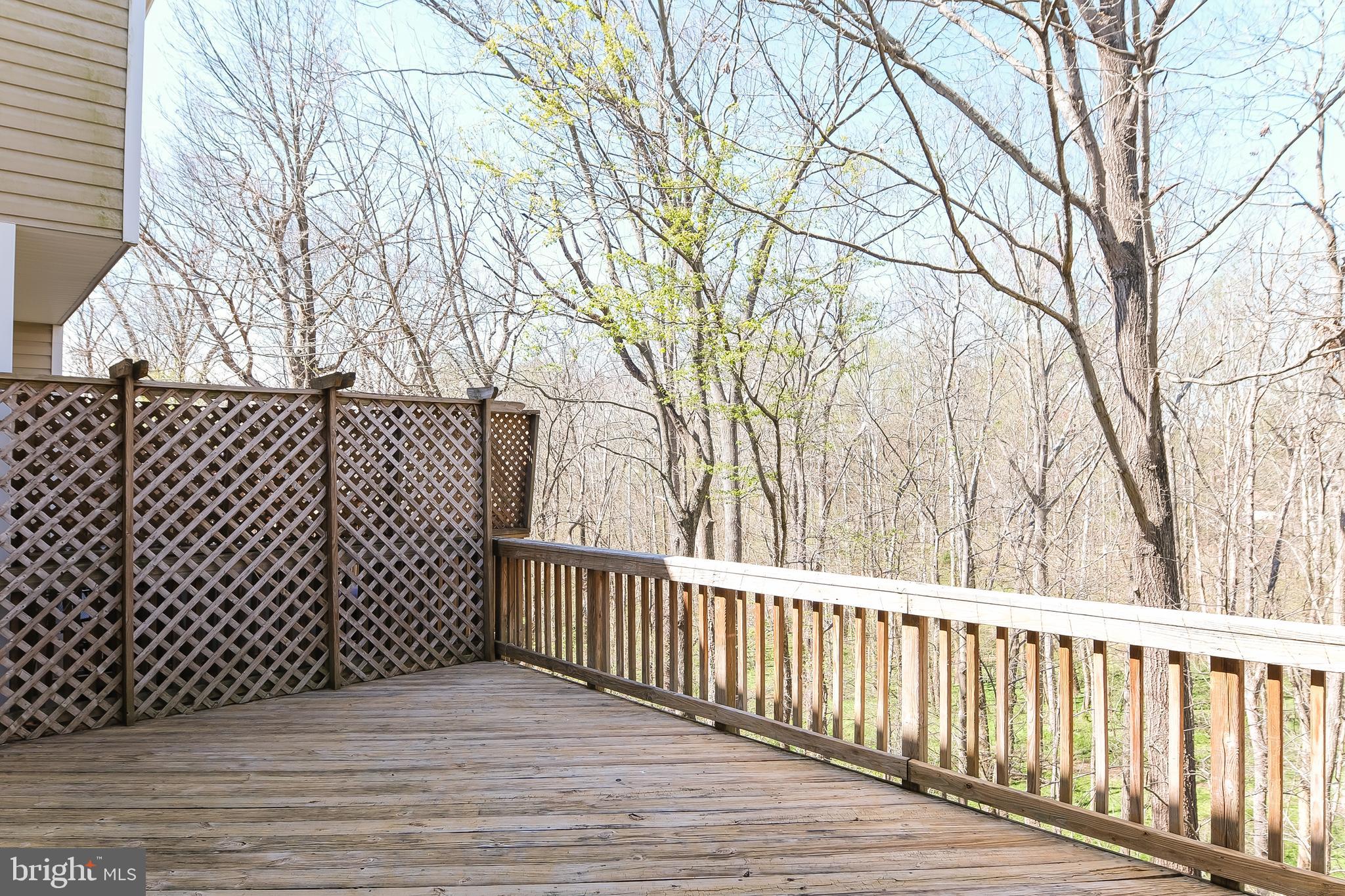 20717 WATERFALL BRANCH TER