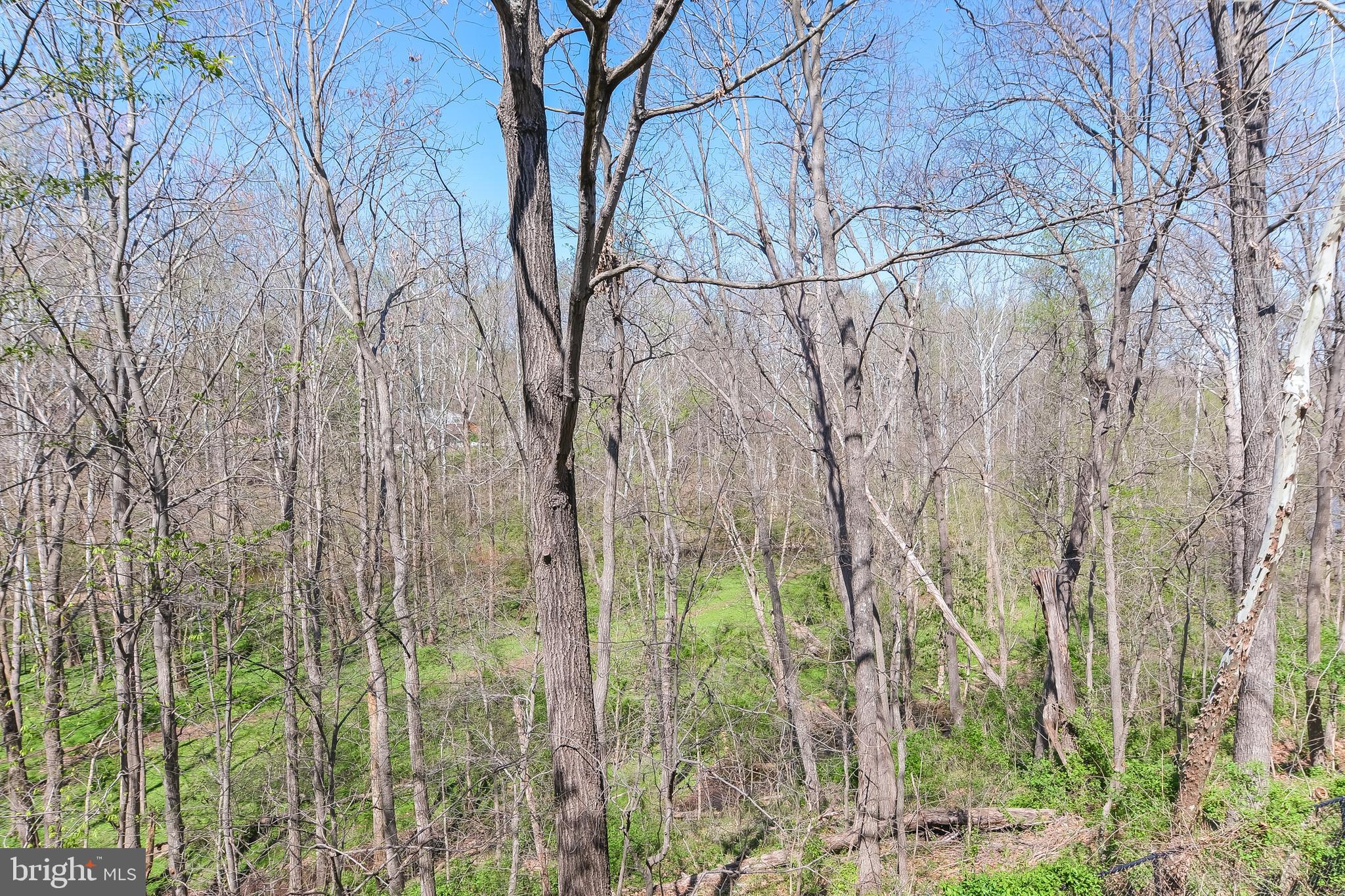 20717 WATERFALL BRANCH TER