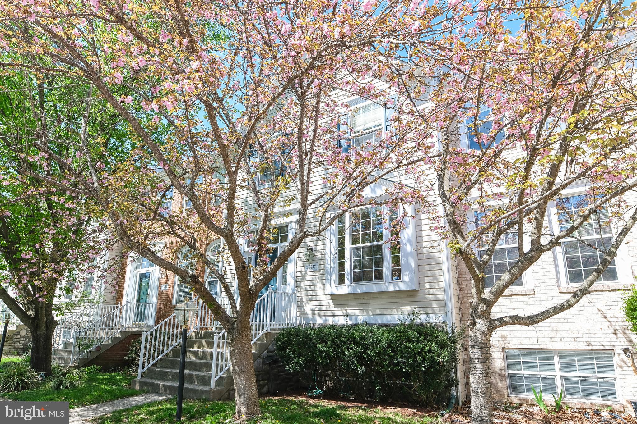 20717 WATERFALL BRANCH TER