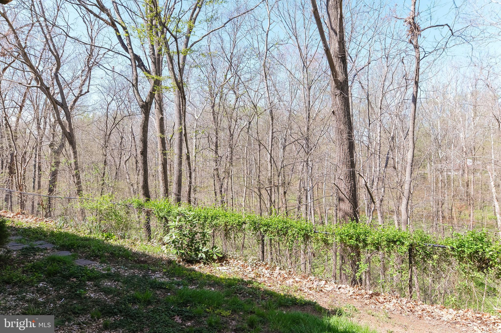 20717 WATERFALL BRANCH TER