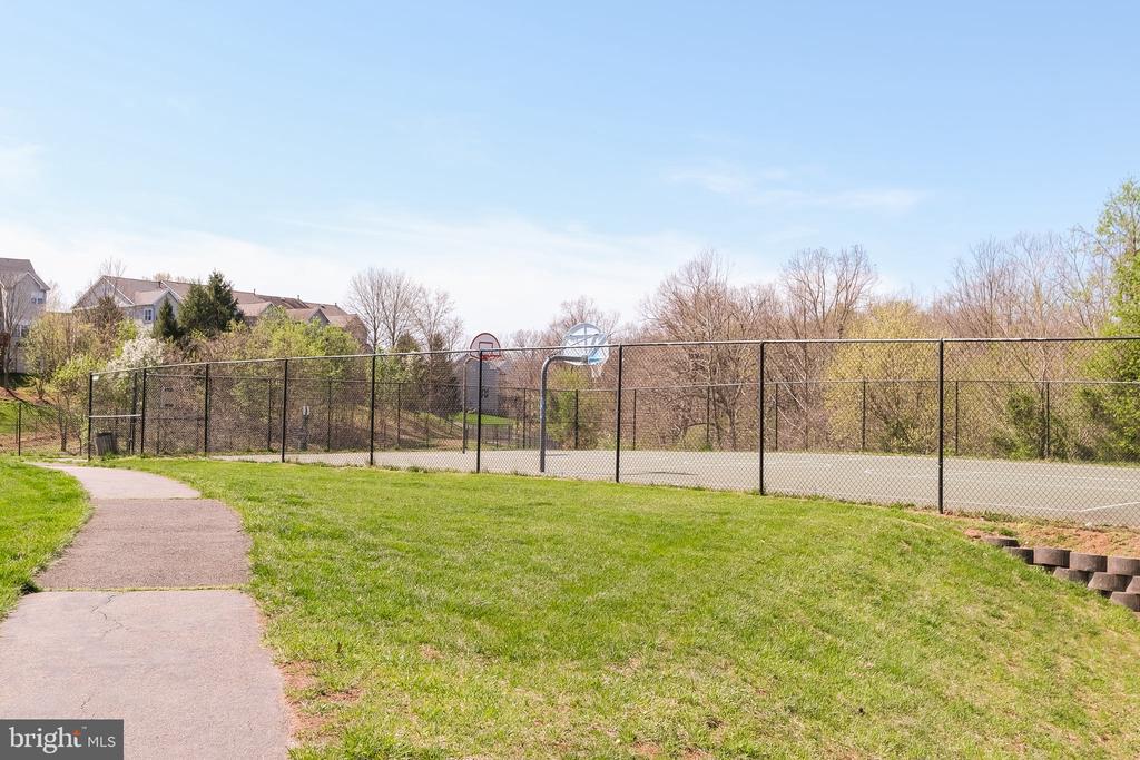 20717 WATERFALL BRANCH TERRACE