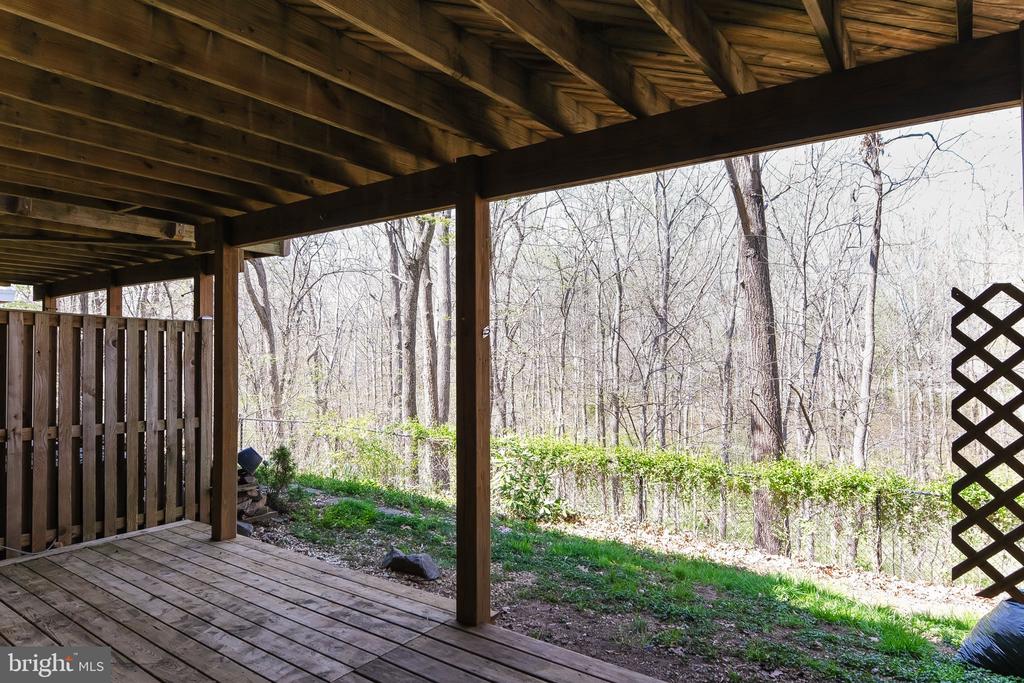 20717 WATERFALL BRANCH TERRACE