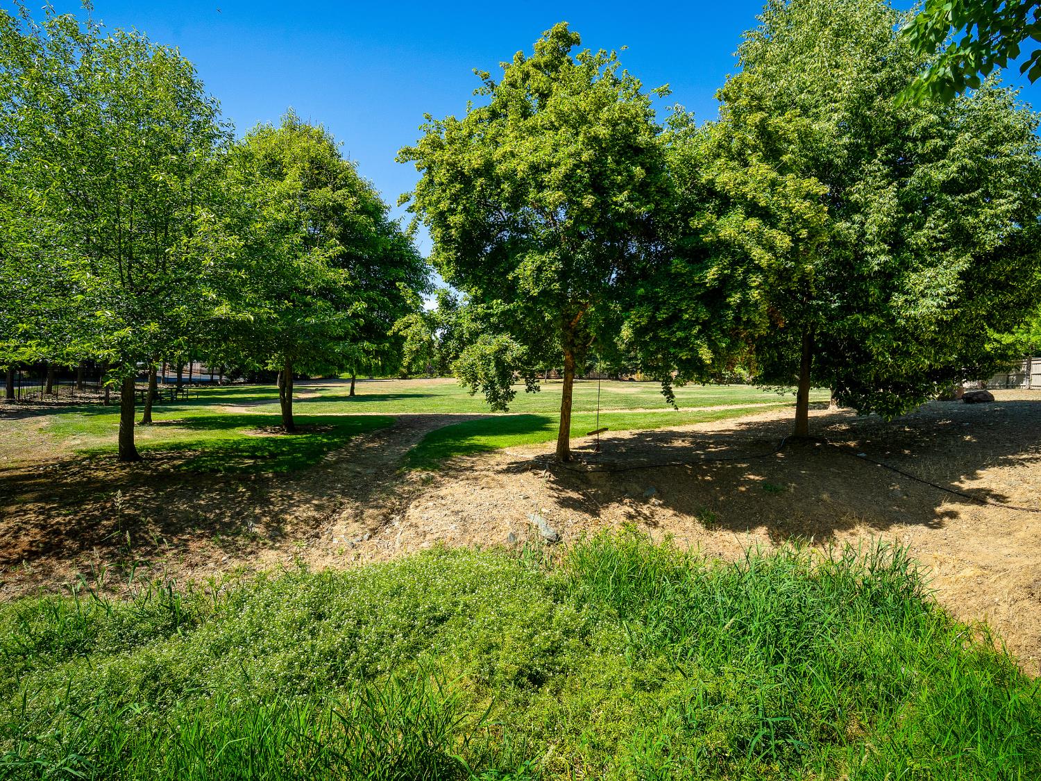 1024 Morning Glory Court