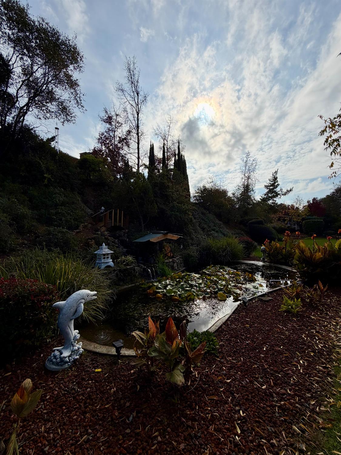 2681 Cameron Park Drive 157