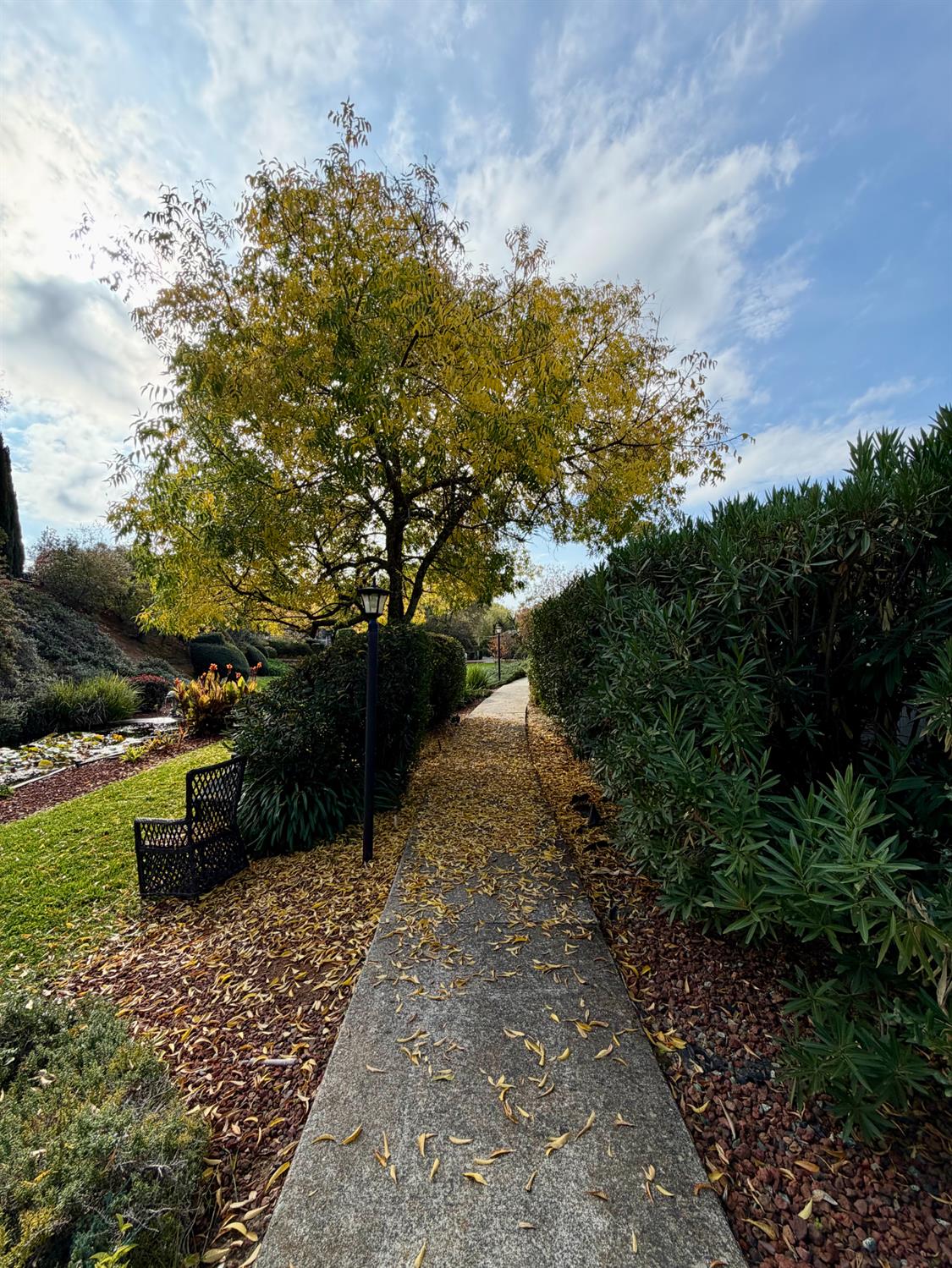 2681 Cameron Park Drive 157