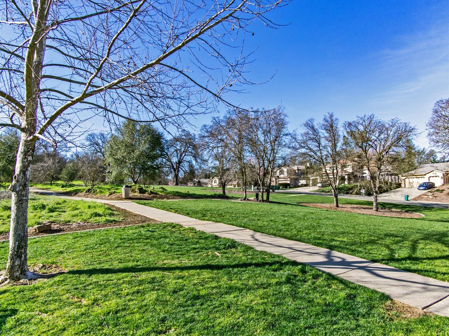 3036 Brackenwood Place