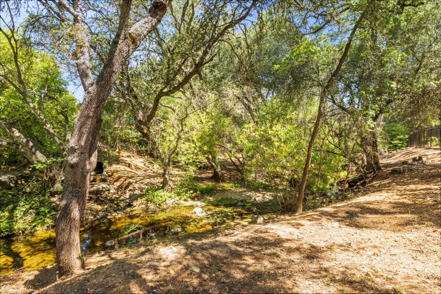 3036 Brackenwood Place