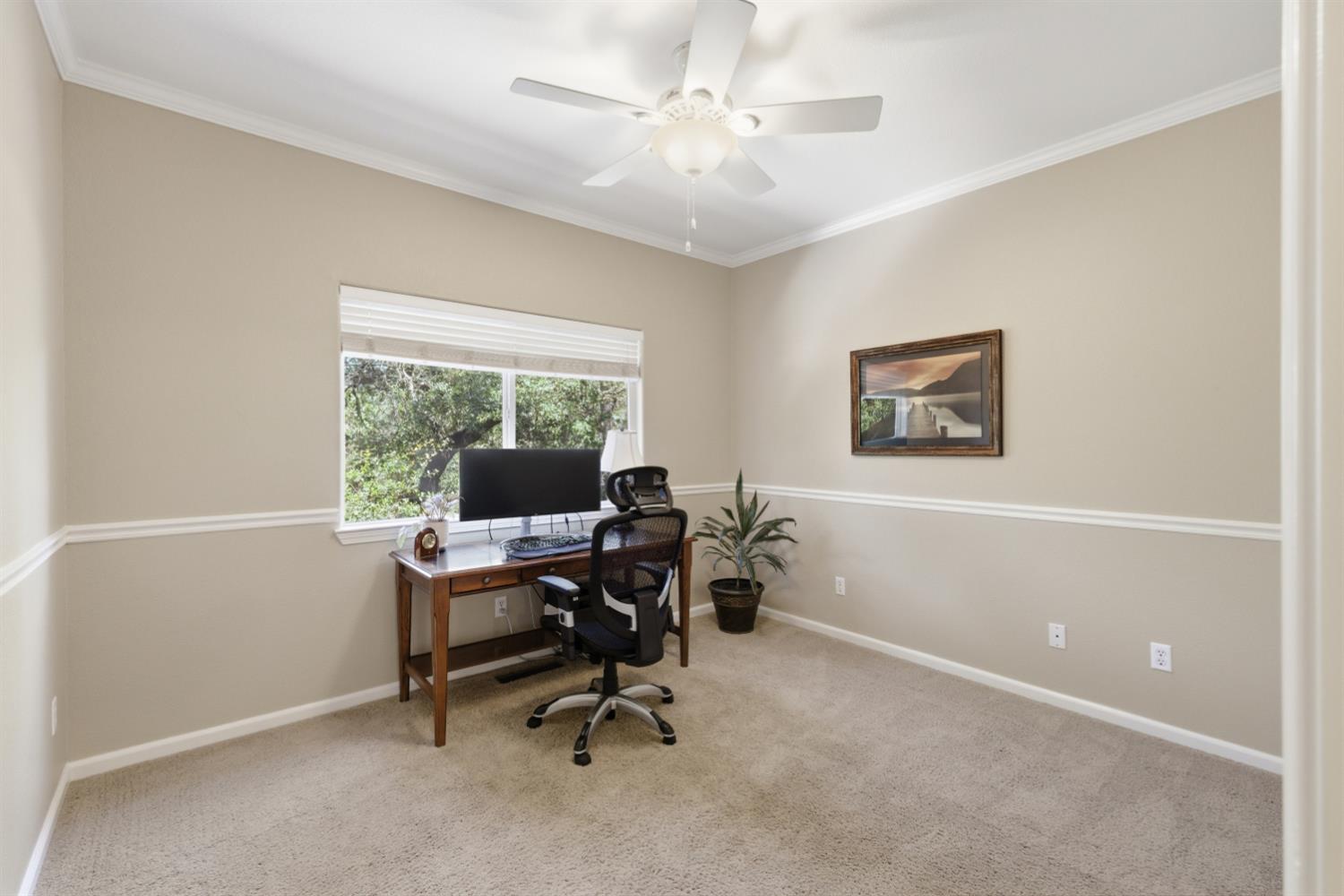 3036 Brackenwood Place