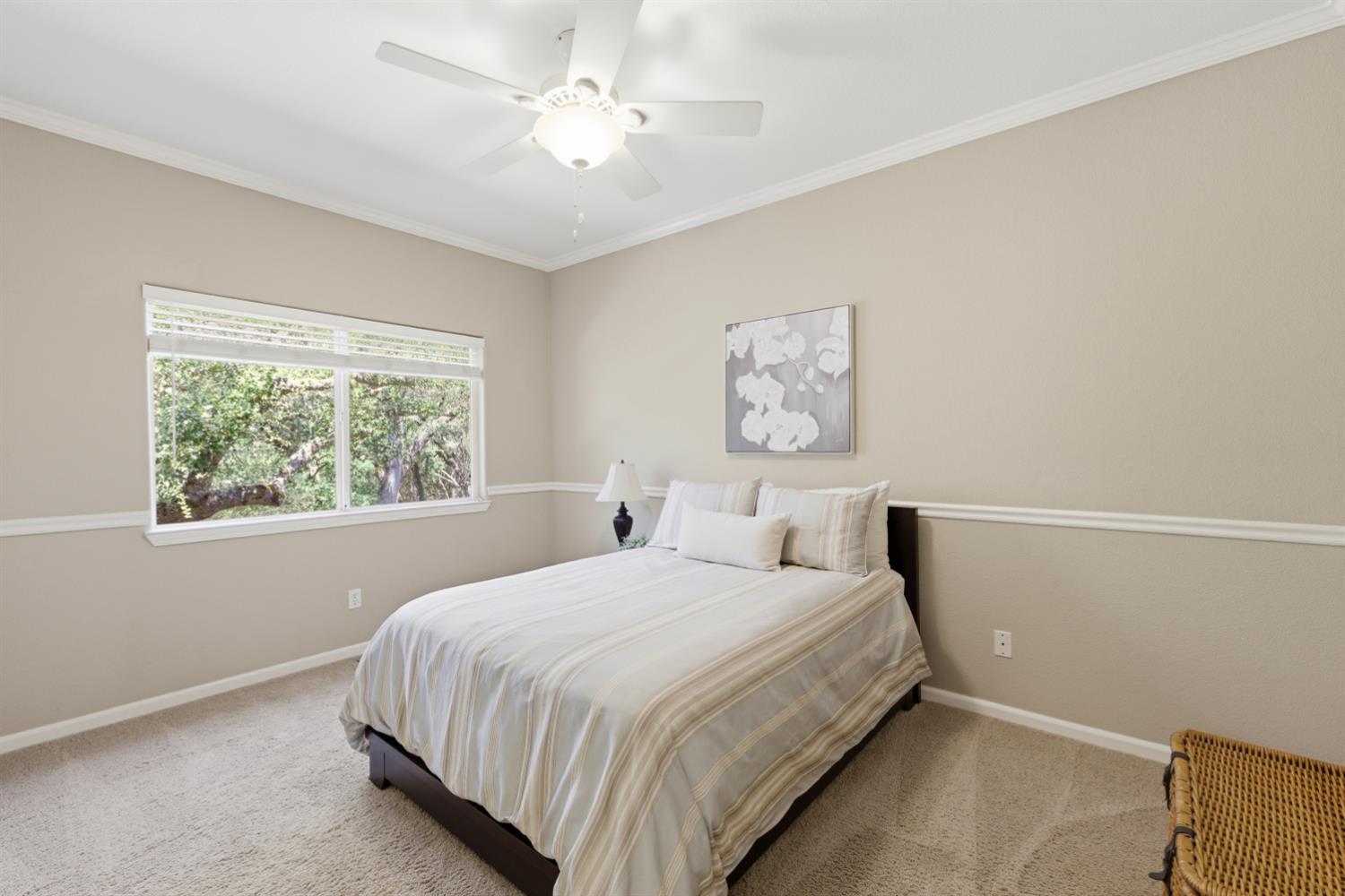 3036 Brackenwood Place