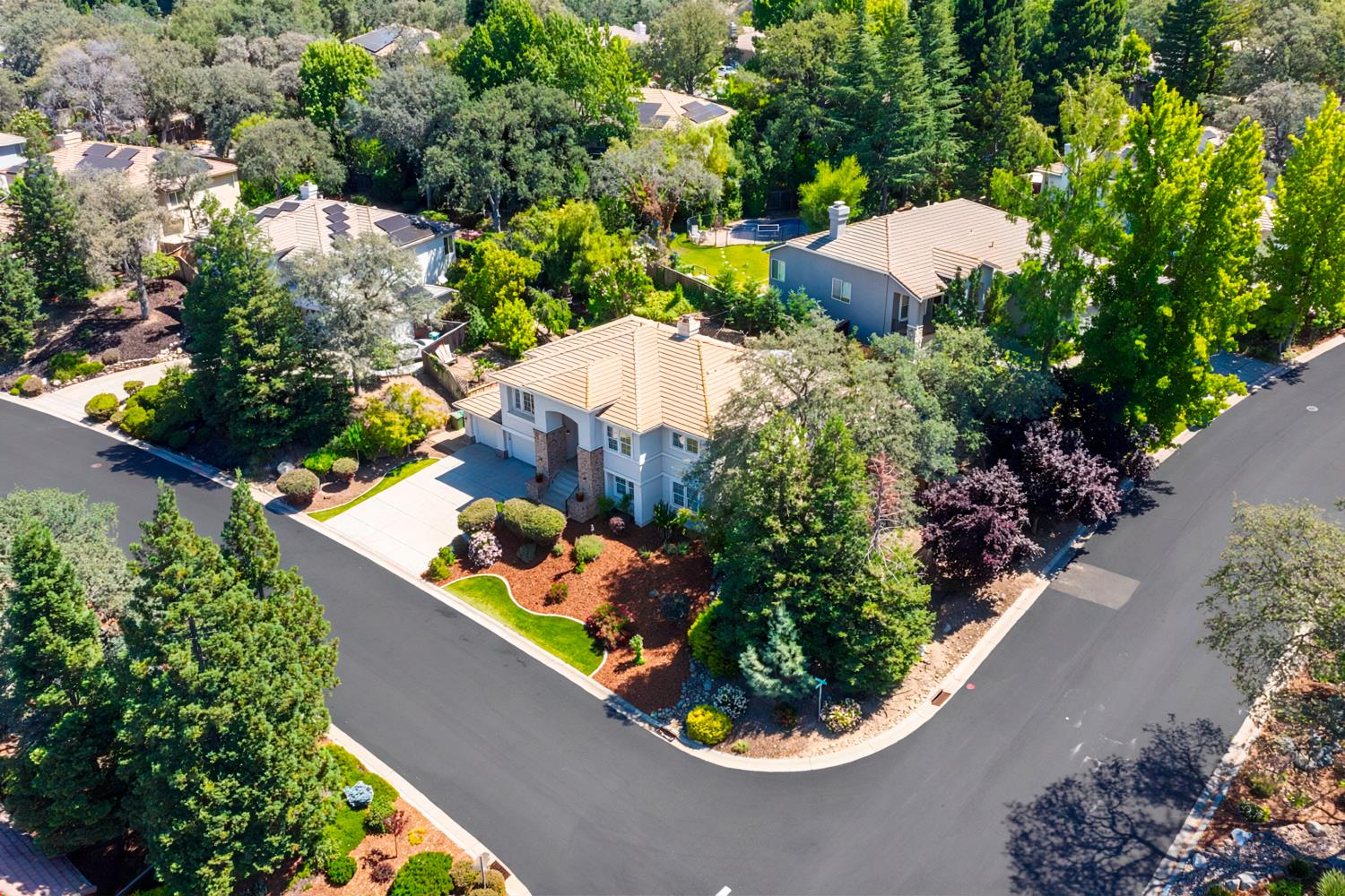 1504 Halifax Way