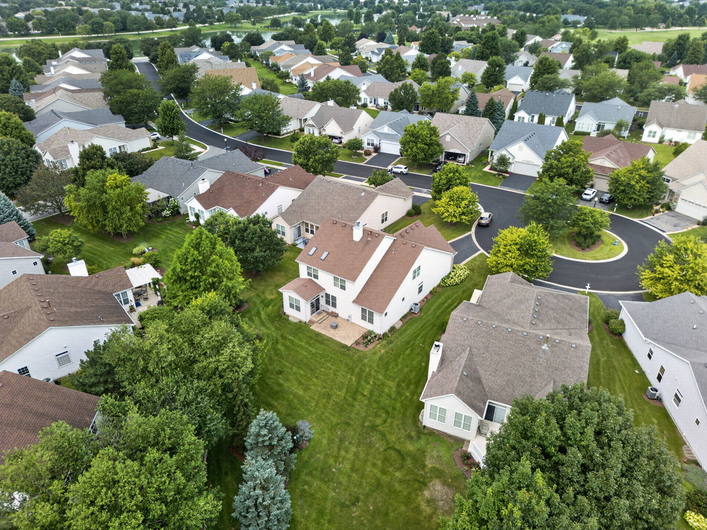 21217 Prince Lake Court
